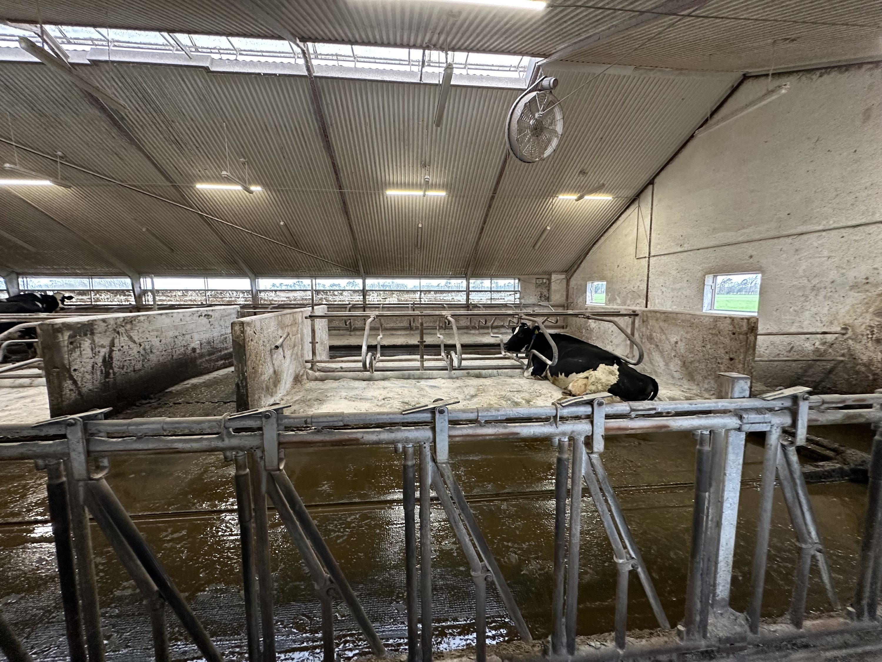 Fremhævet  billede i fuldskærmstilstand. Billede af Nørlev Strandvej 130, 9800 Hjørring