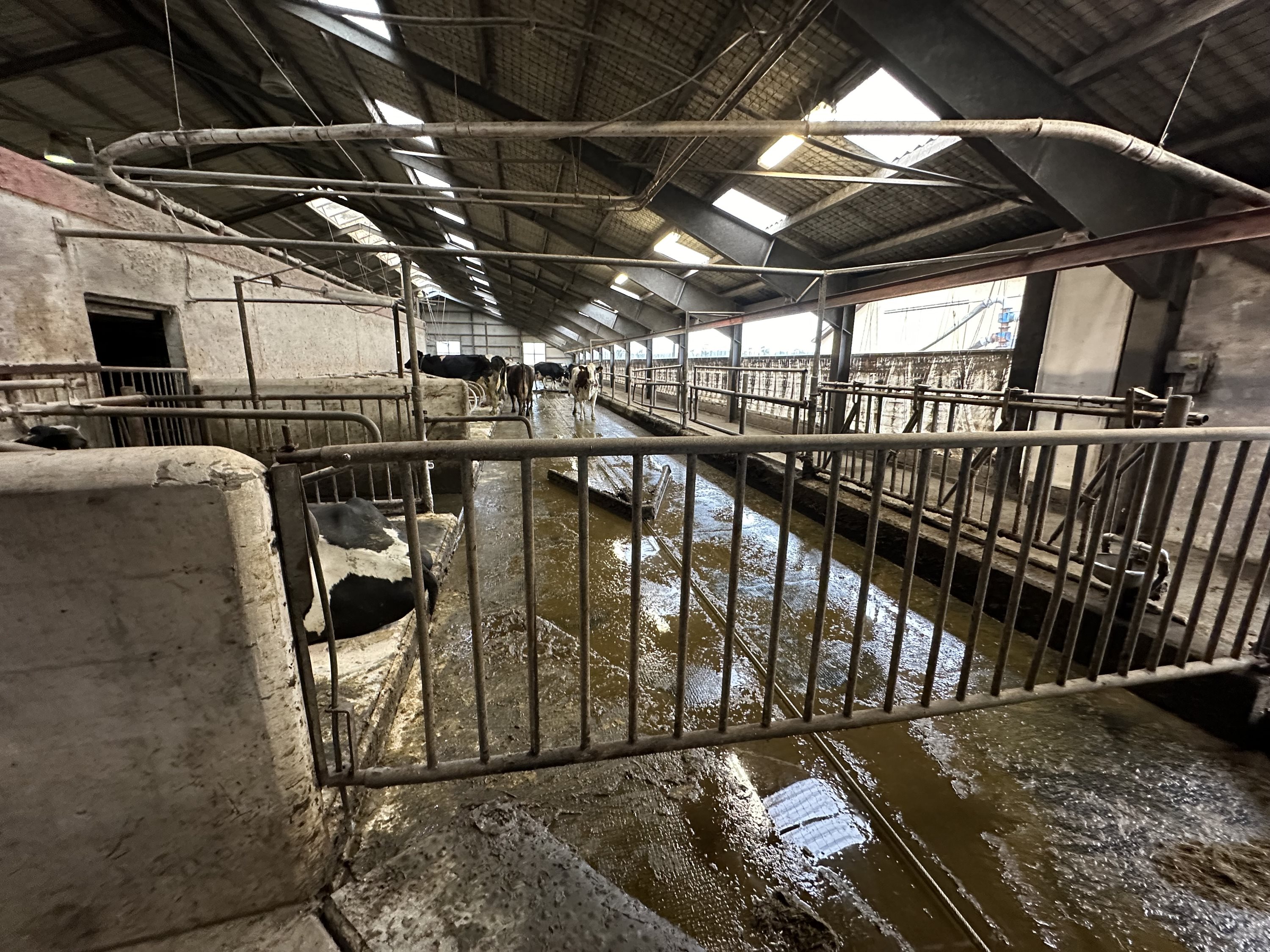 Fremhævet  billede i fuldskærmstilstand. Billede af Nørlev Strandvej 130, 9800 Hjørring