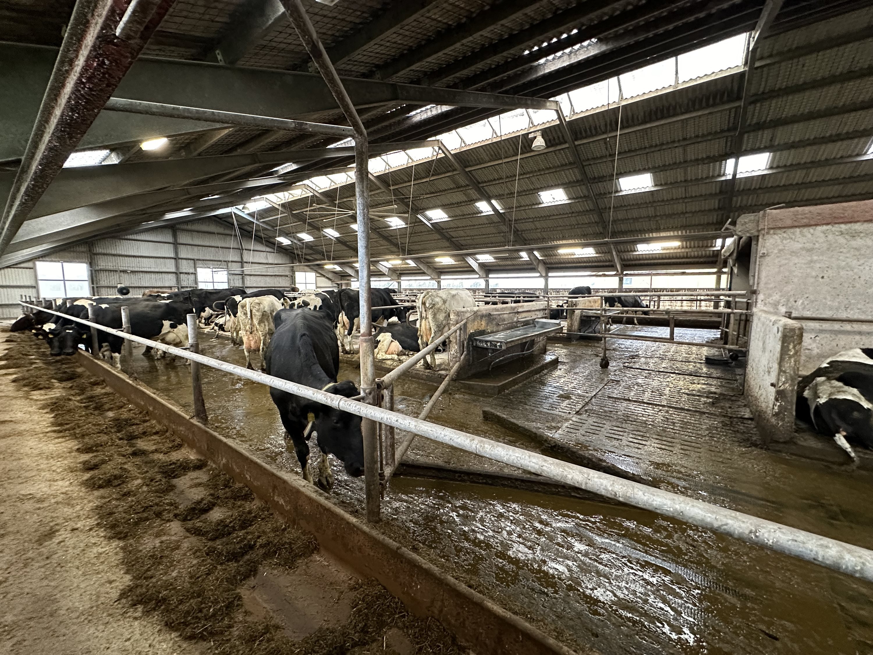 Fremhævet  billede i fuldskærmstilstand. Billede af Nørlev Strandvej 130, 9800 Hjørring