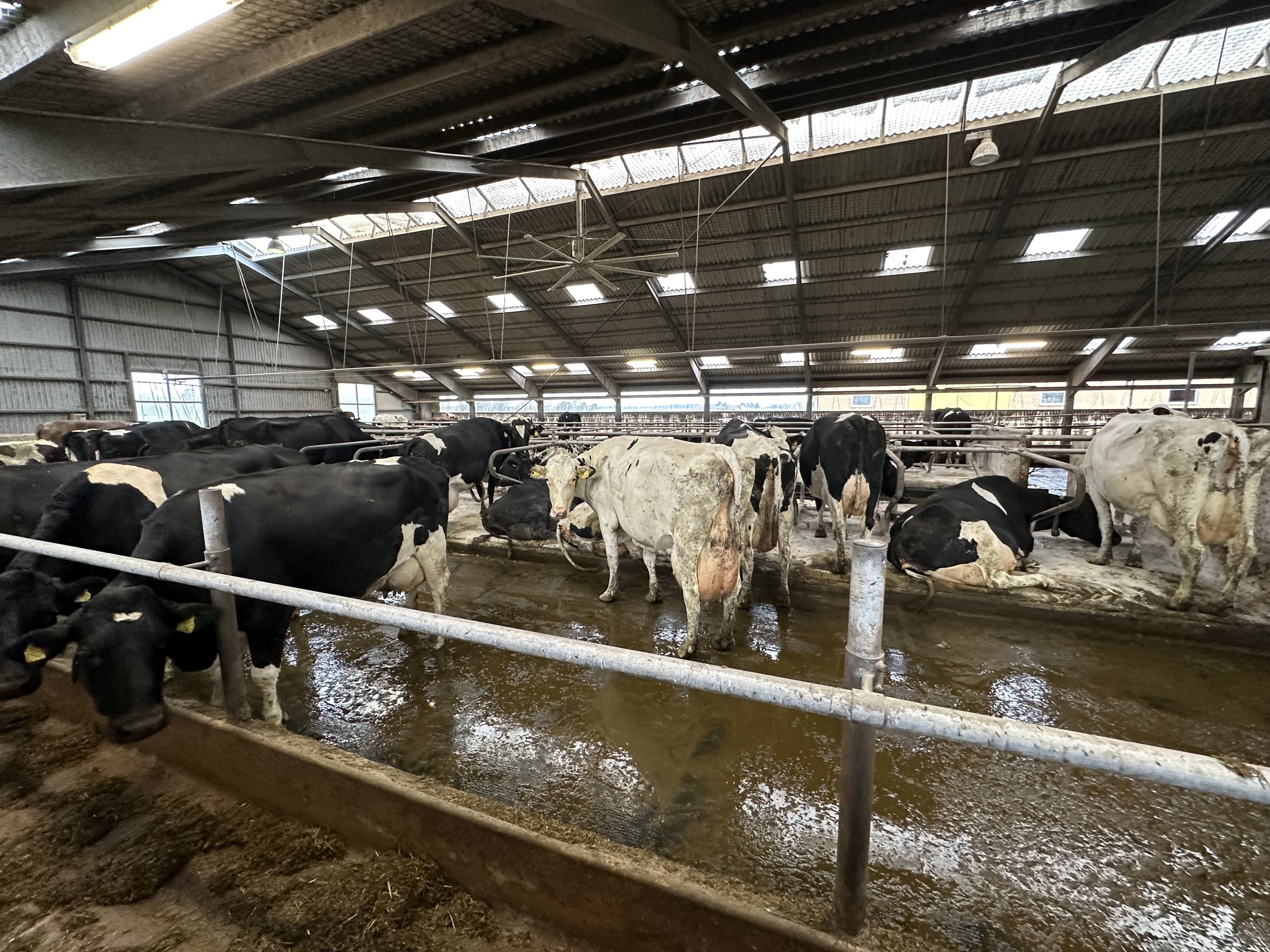 Fremhævet  billede i fuldskærmstilstand. Billede af Nørlev Strandvej 130, 9800 Hjørring