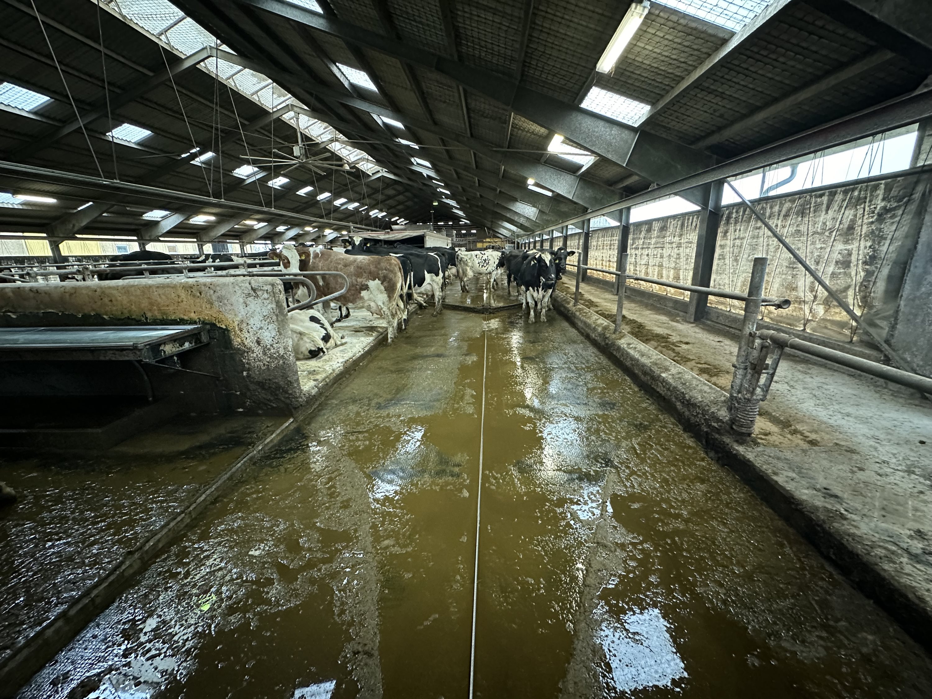 Fremhævet  billede i fuldskærmstilstand. Billede af Nørlev Strandvej 130, 9800 Hjørring