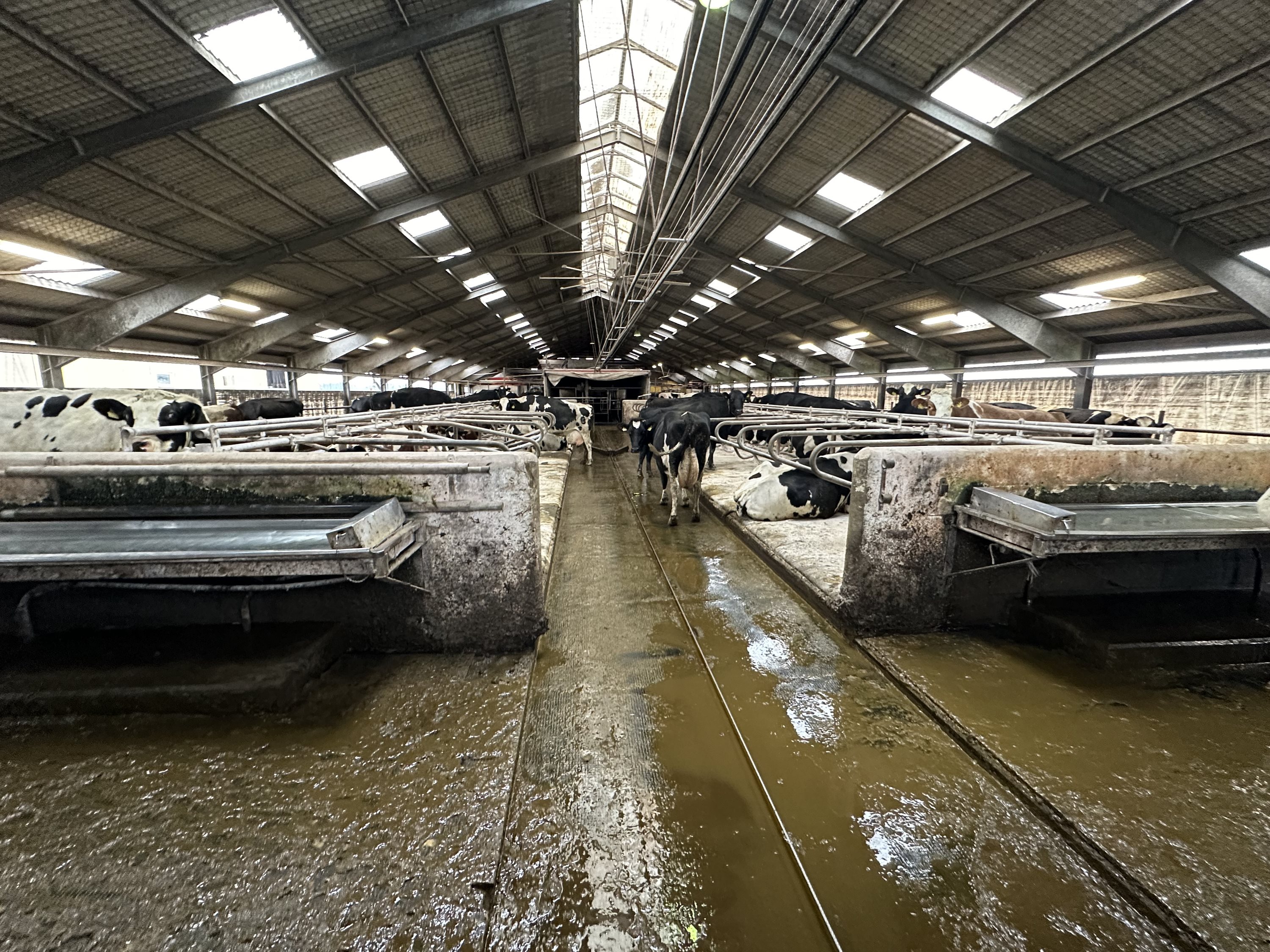 Fremhævet  billede i fuldskærmstilstand. Billede af Nørlev Strandvej 130, 9800 Hjørring