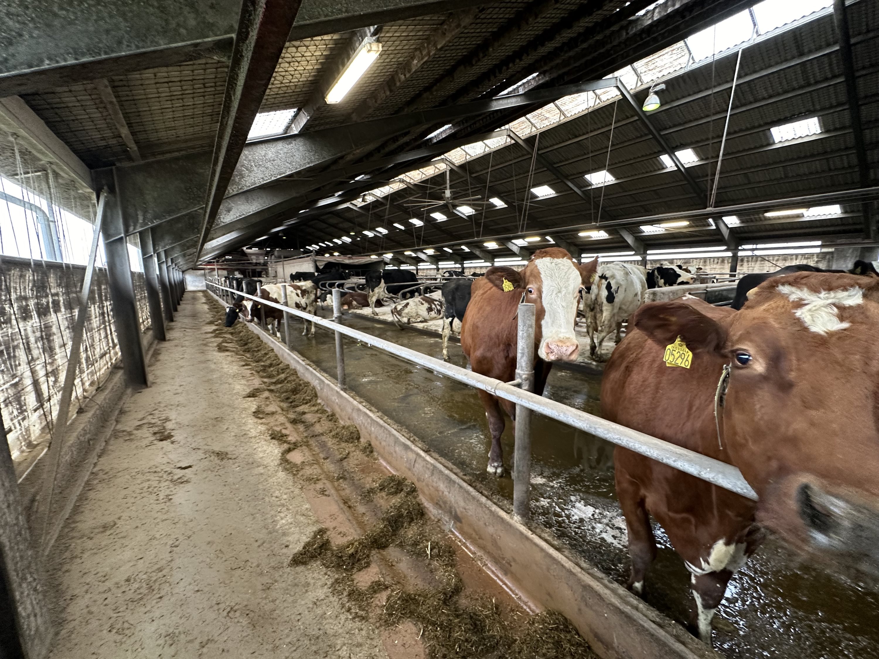 Fremhævet  billede i fuldskærmstilstand. Billede af Nørlev Strandvej 130, 9800 Hjørring