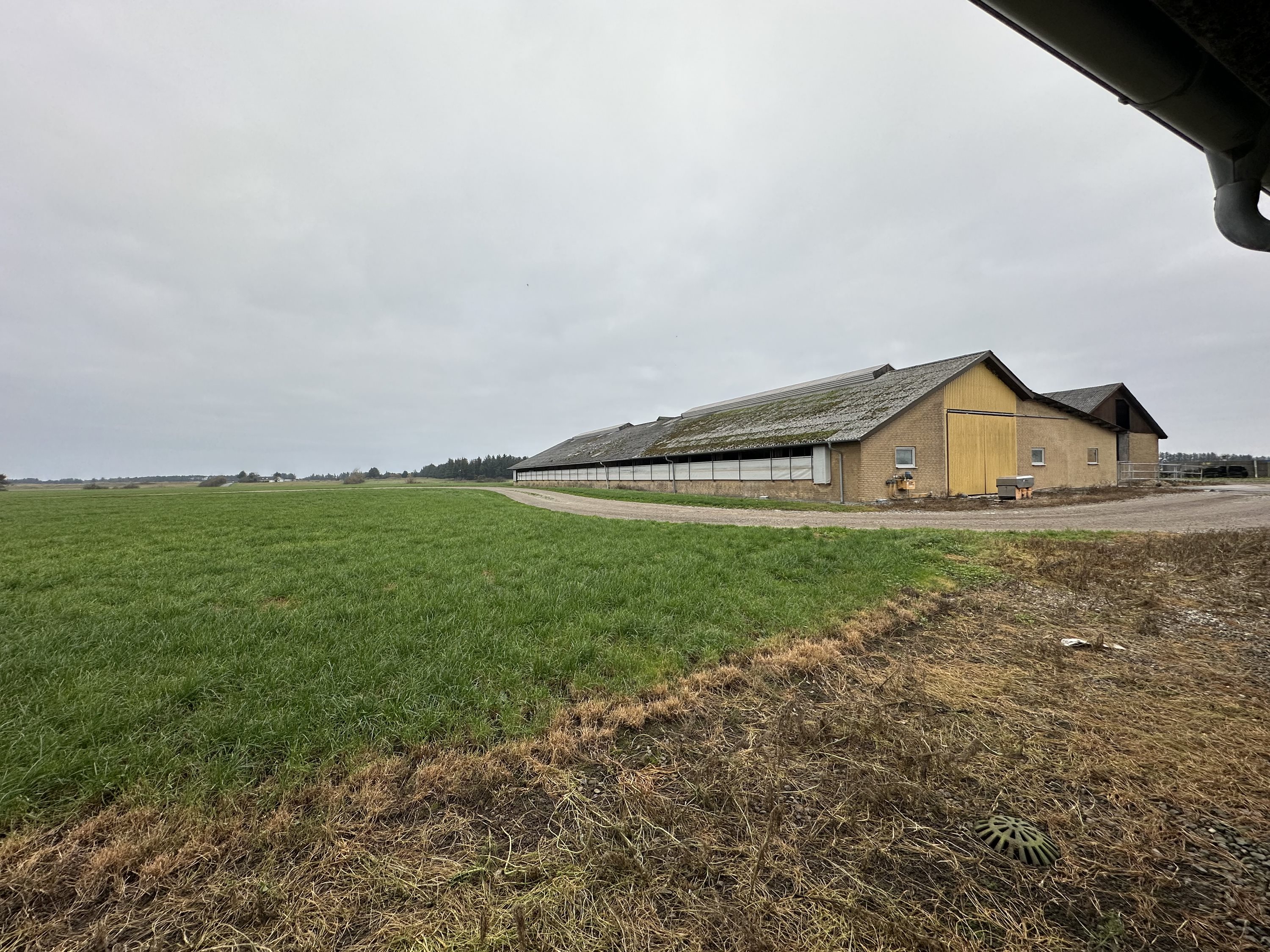 Fremhævet  billede i fuldskærmstilstand. Billede af Nørlev Strandvej 130, 9800 Hjørring