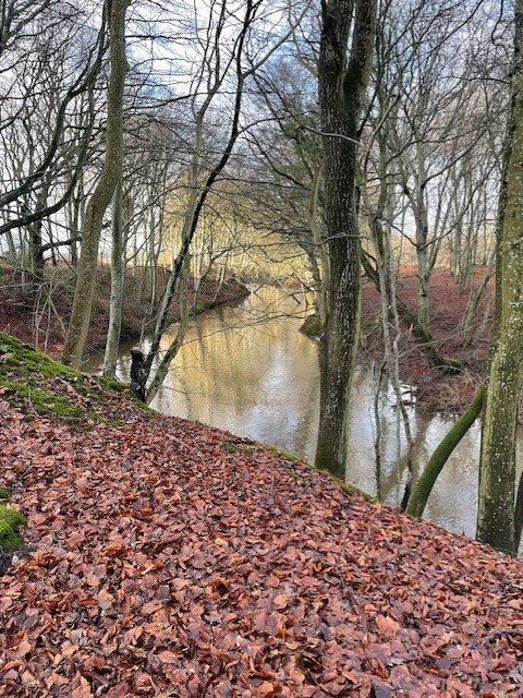 Miniaturebillede 2: . Billede af Østkystvejen 390, Voerså, 9300 Sæby