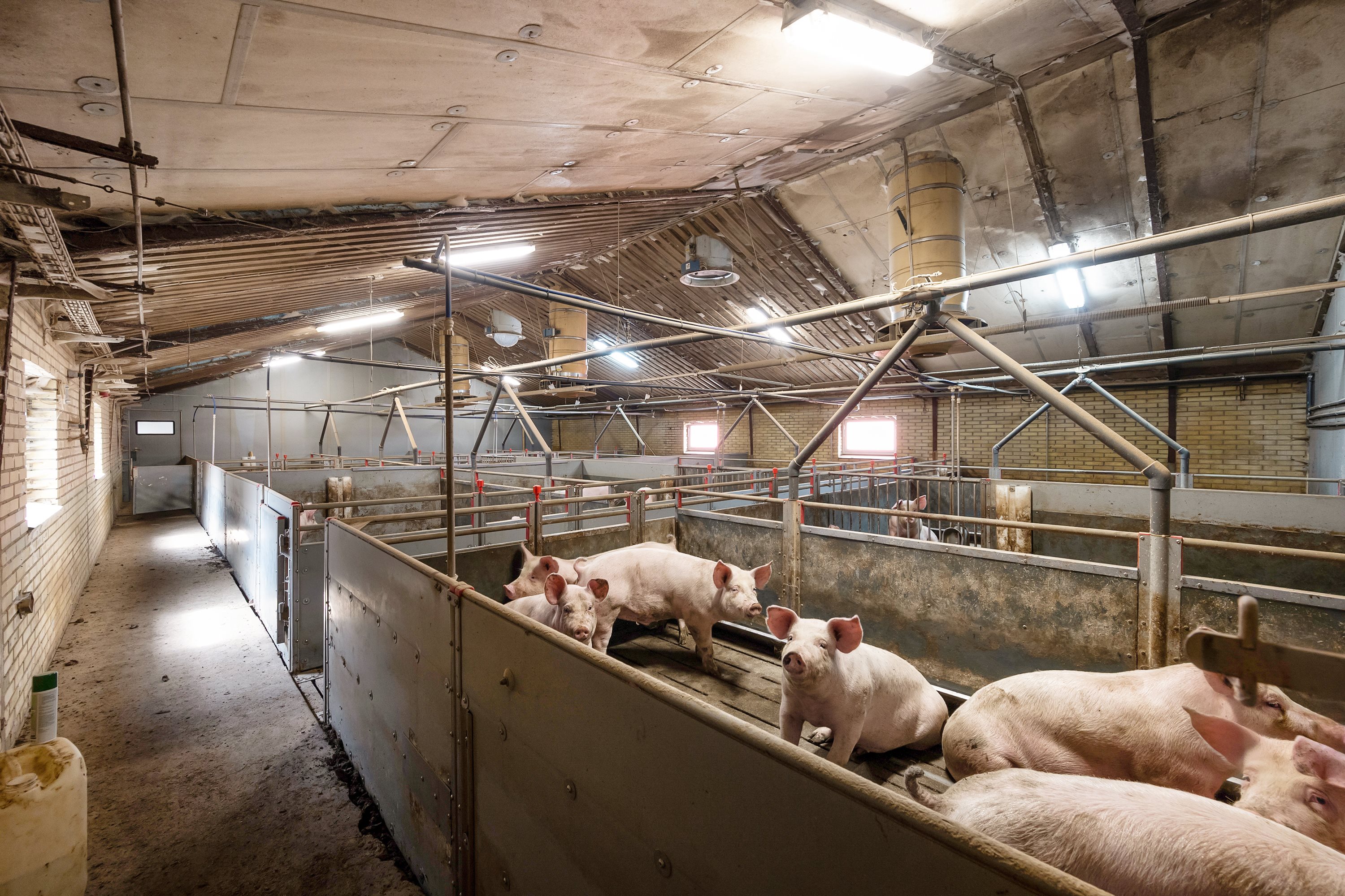 Fremhævet  billede i fuldskærmstilstand. Billede af Flarupvej 2A, 7760 Hurup Thy