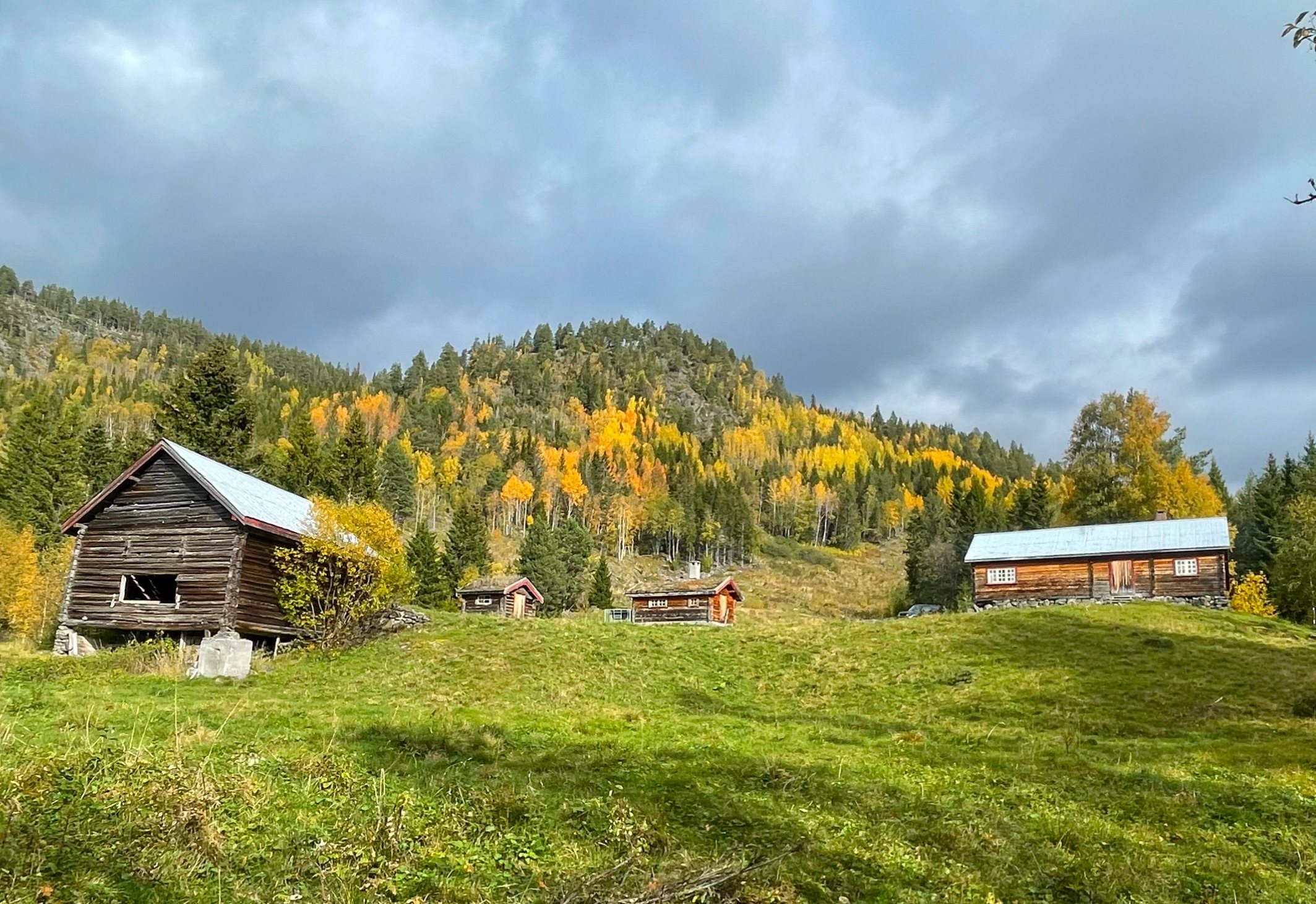 Fremhævet  billede i fuldskærmstilstand. Billede af Foldsævegen 62, Hauggrend, 3870 Fyresdal