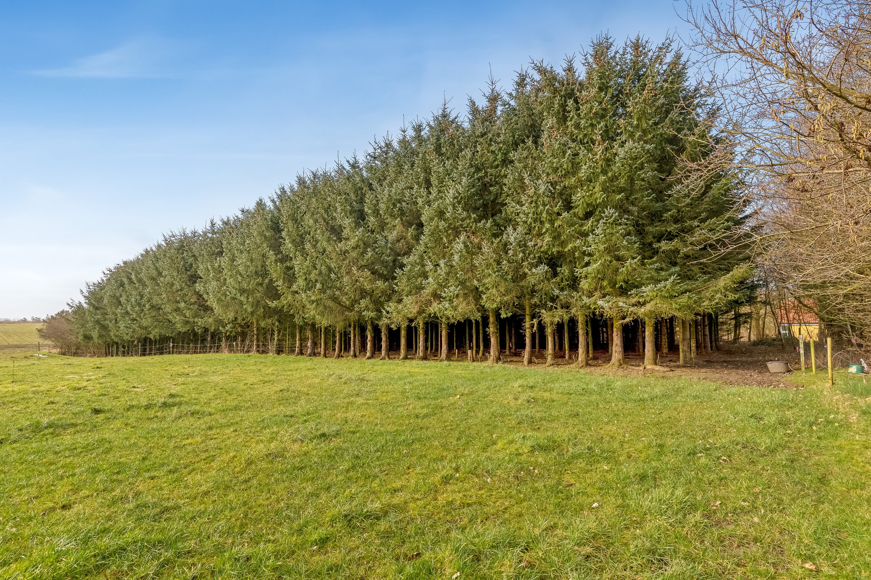 Fremhævet jordtilliggende billede i fuldskærmstilstand. Billede af Skovlundvej 16, Svenstrup, 7830 Vinderup
