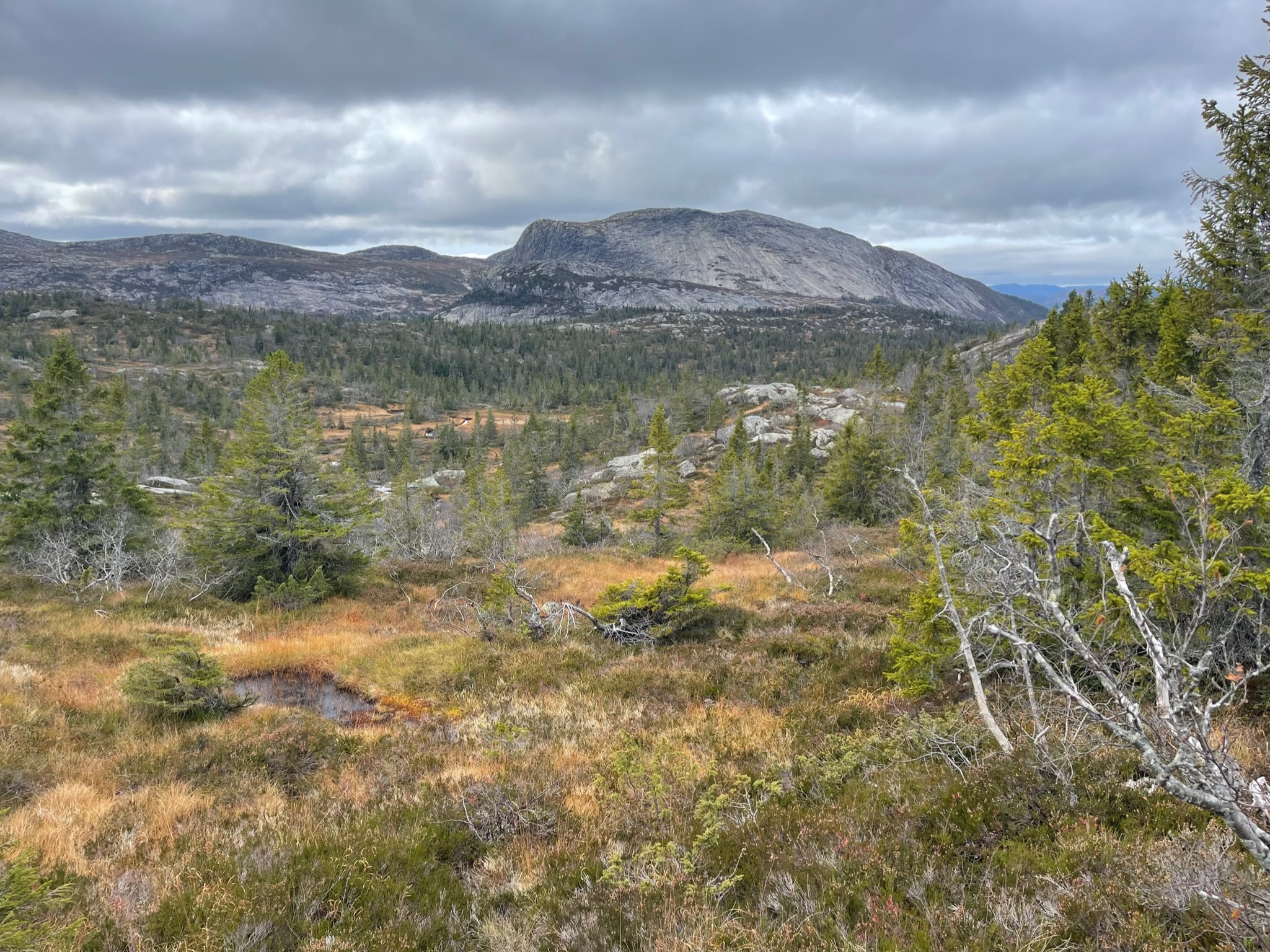 Fremhævet  billede i fuldskærmstilstand. Billede af Foldsævegen 62, Hauggrend, 3870 Fyresdal