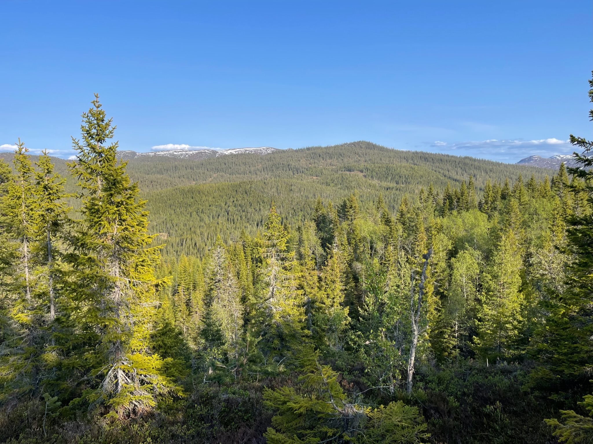 Fremhævet  billede i fuldskærmstilstand. Billede af Foldsævegen 62, Hauggrend, 3870 Fyresdal