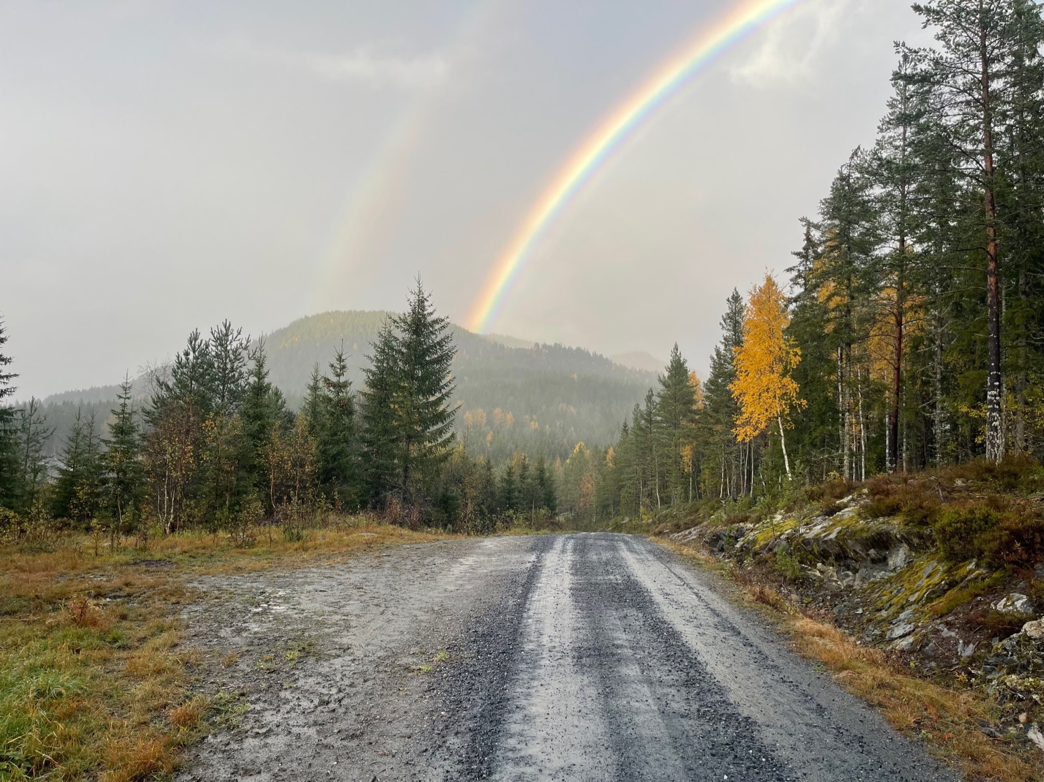 Fremhævet  billede i fuldskærmstilstand. Billede af Foldsævegen 62, Hauggrend, 3870 Fyresdal