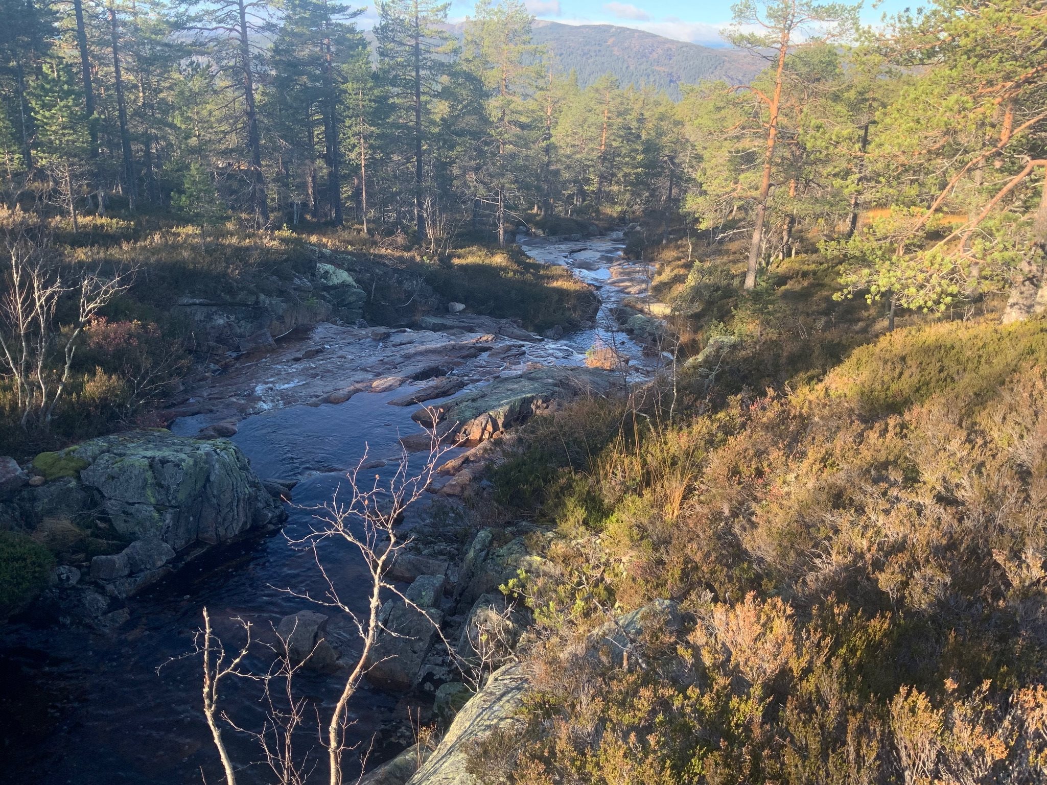 Fremhævet  billede i fuldskærmstilstand. Billede af Foldsævegen 62, Hauggrend, 3870 Fyresdal