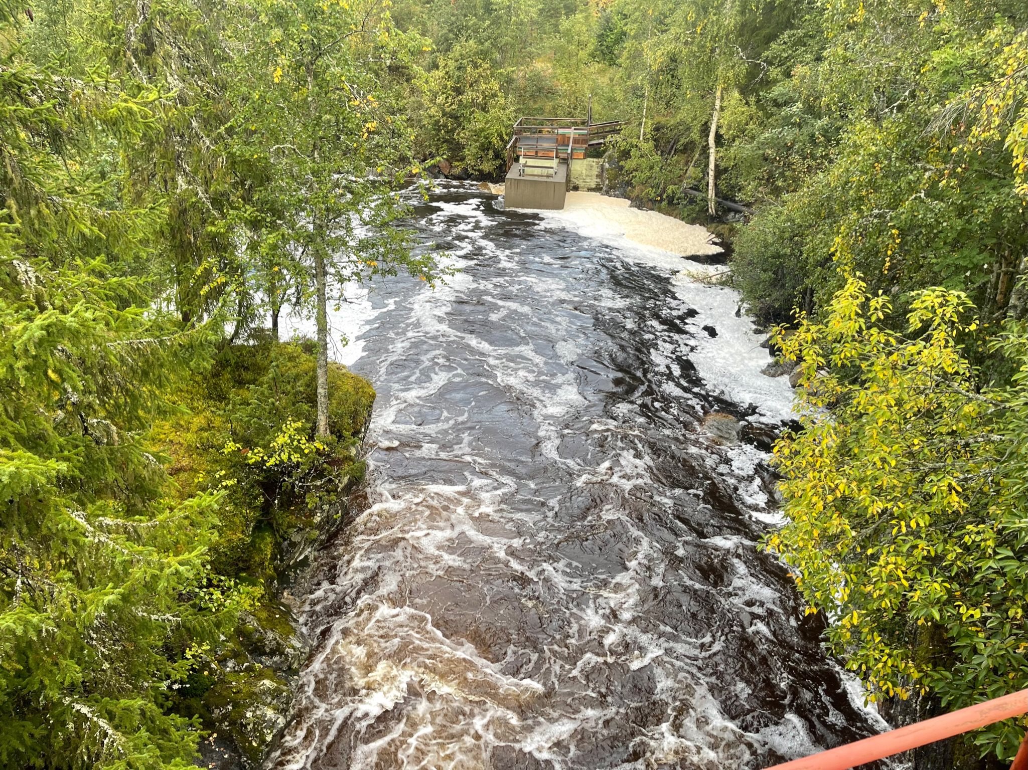 Fremhævet  billede i fuldskærmstilstand. Billede af Foldsævegen 62, Hauggrend, 3870 Fyresdal