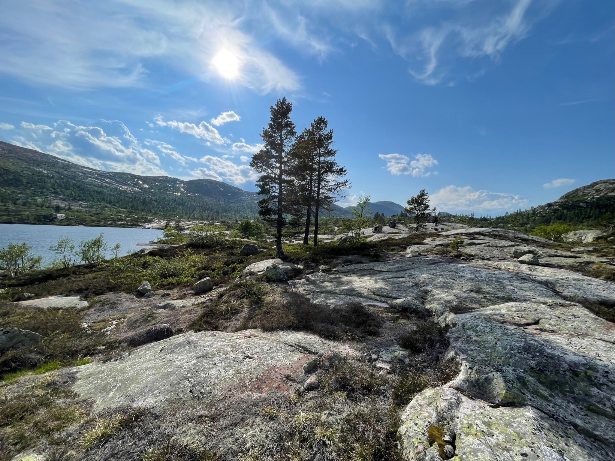 Fremhævet  billede i fuldskærmstilstand. Billede af Foldsævegen 62, Hauggrend, 3870 Fyresdal