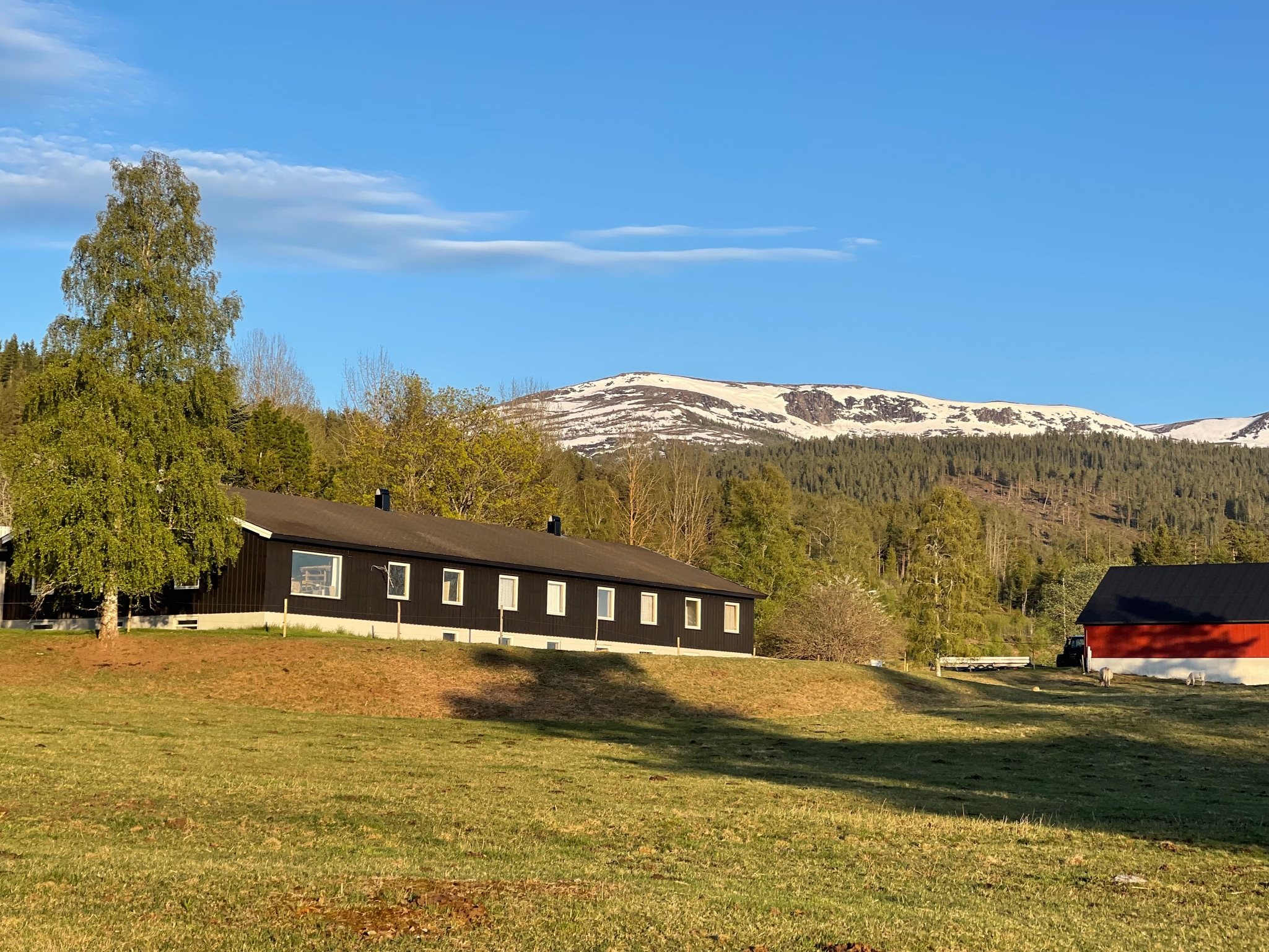 Fremhævet  billede i fuldskærmstilstand. Billede af Foldsævegen 62, Hauggrend, 3870 Fyresdal