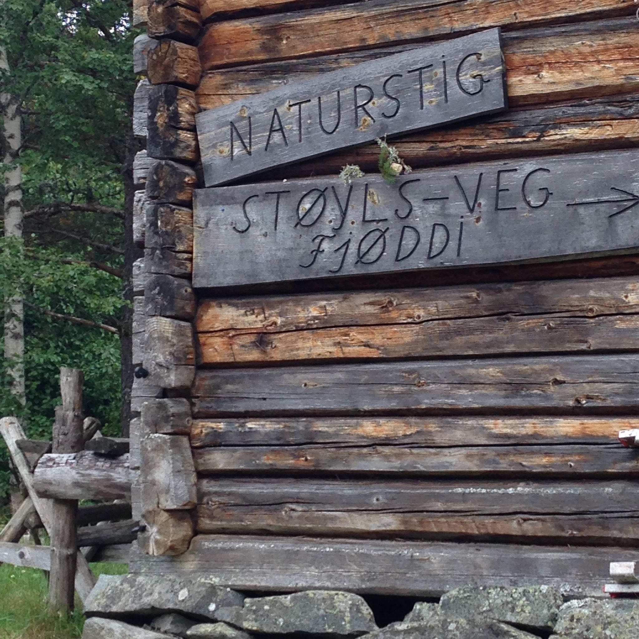 Fremhævet  billede i fuldskærmstilstand. Billede af Foldsævegen 62, Hauggrend, 3870 Fyresdal