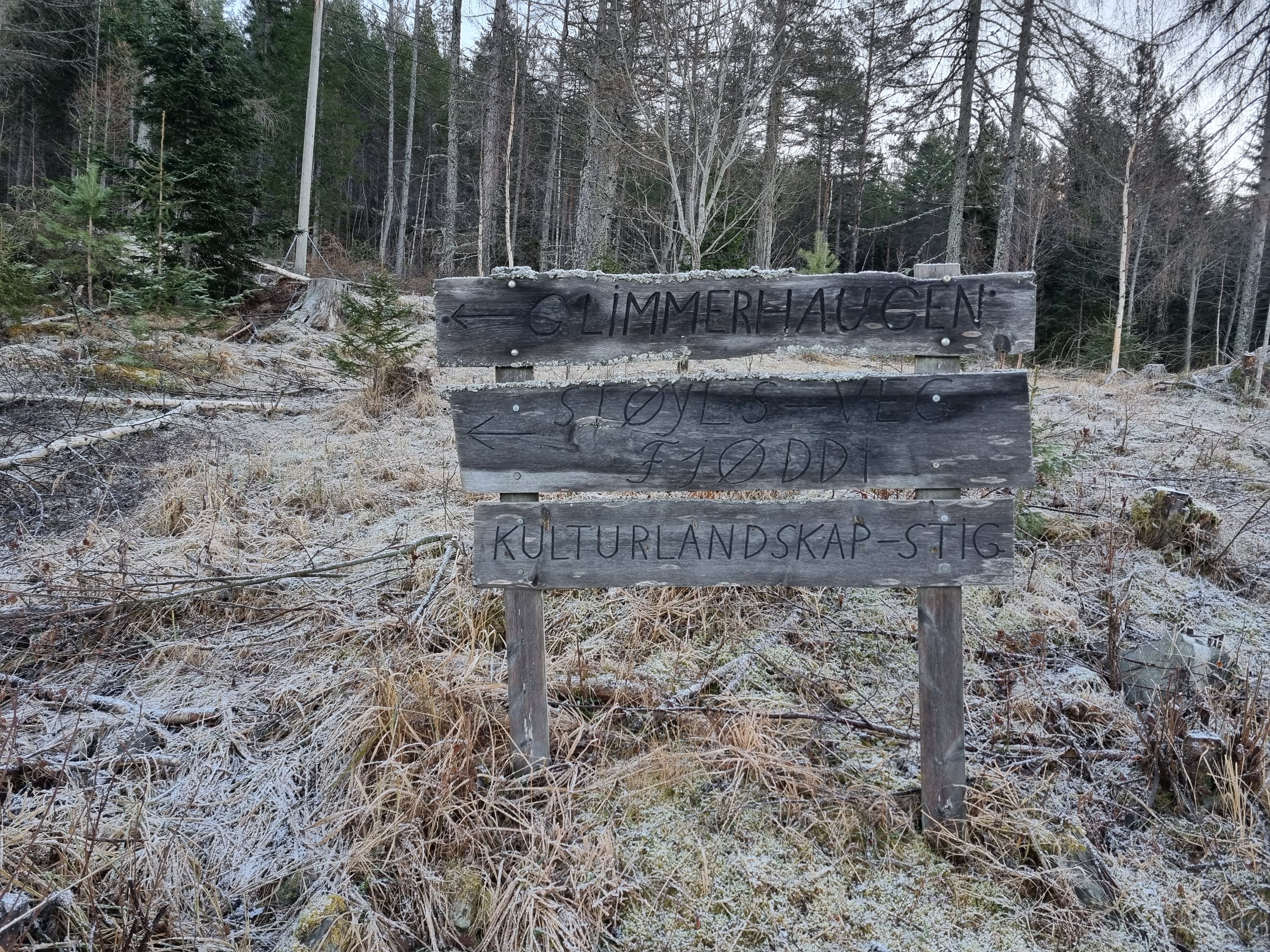 Fremhævet  billede i fuldskærmstilstand. Billede af Foldsævegen 62, Hauggrend, 3870 Fyresdal