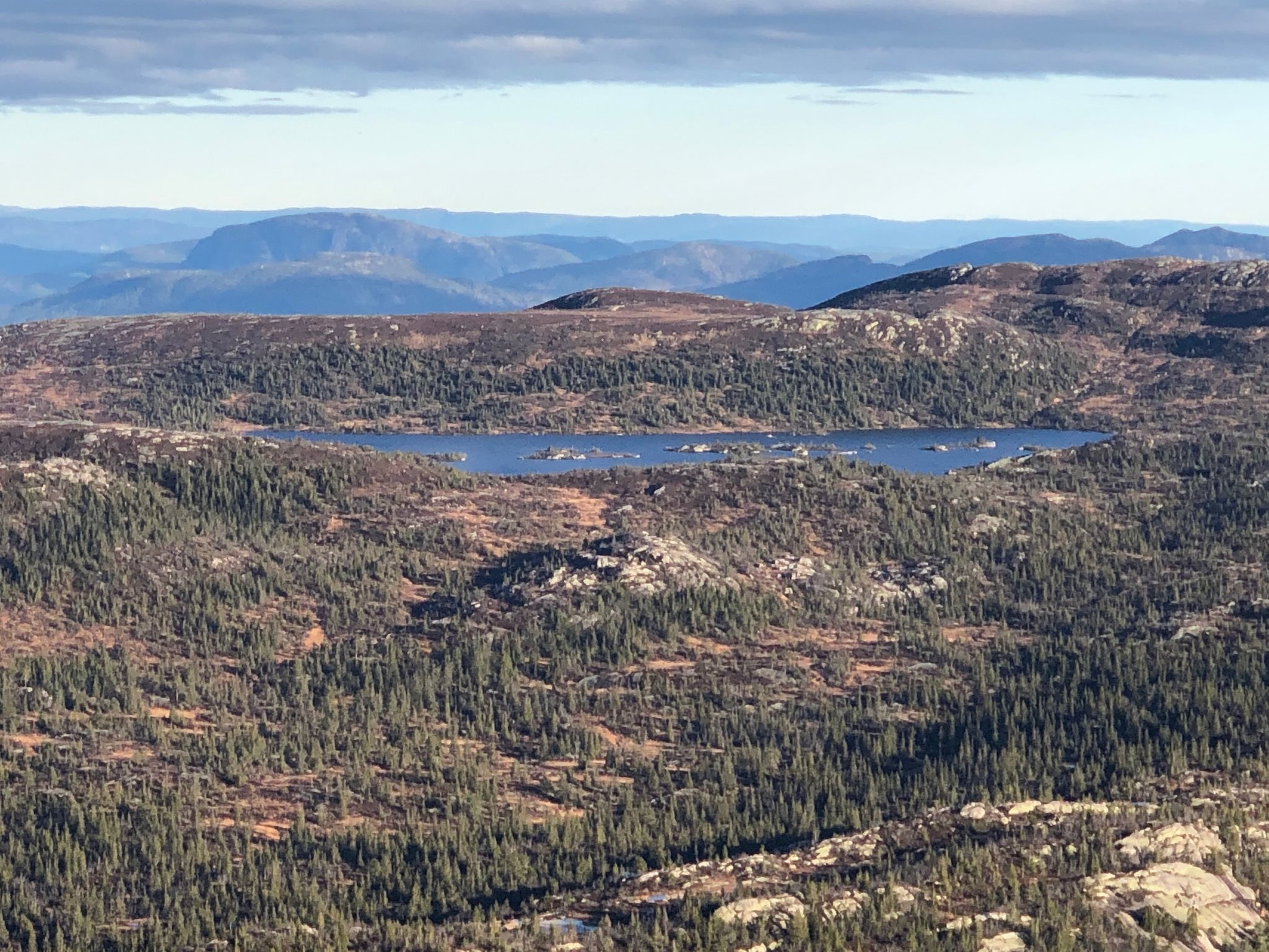 Fremhævet  billede i fuldskærmstilstand. Billede af Foldsævegen 62, Hauggrend, 3870 Fyresdal