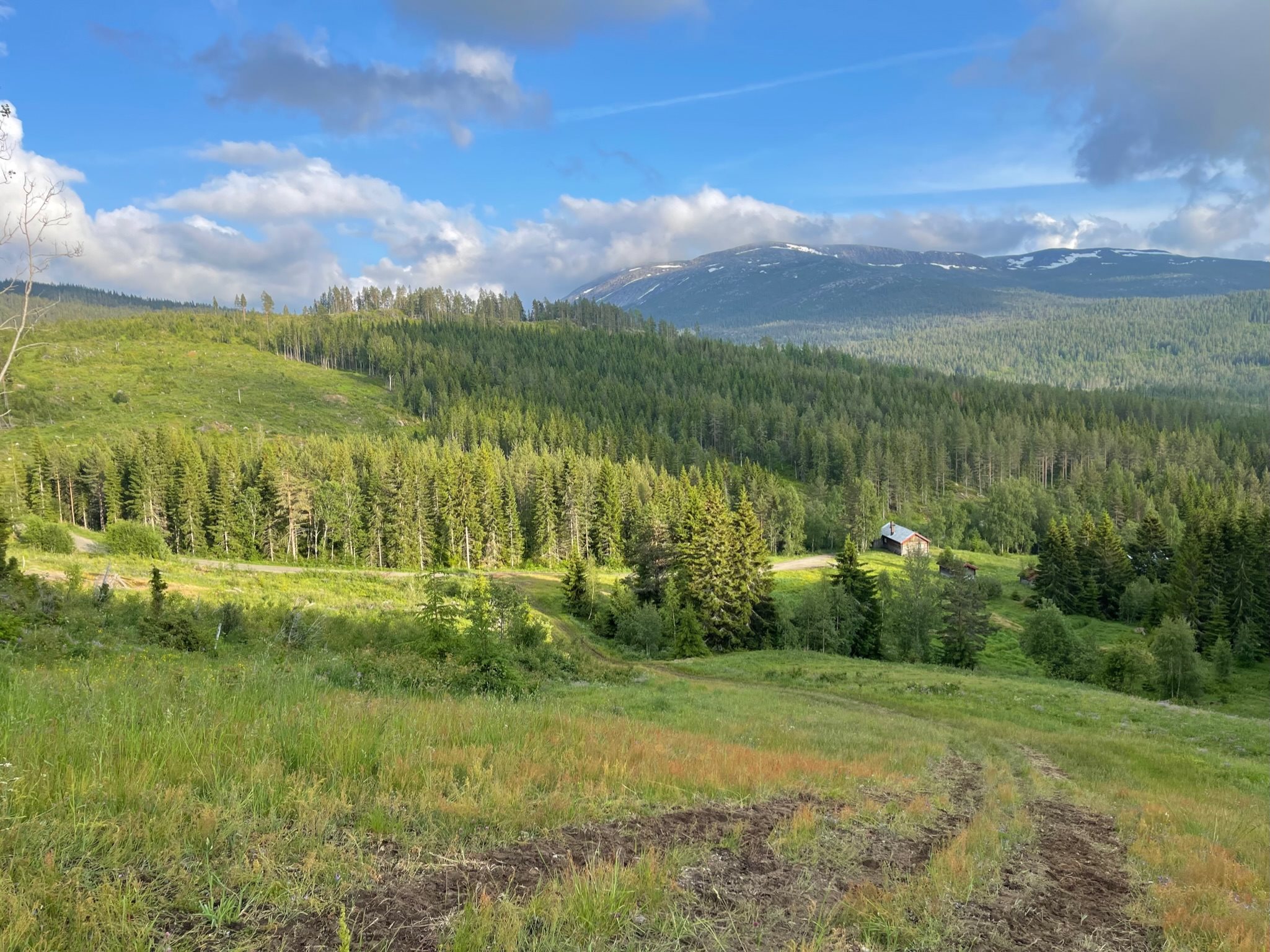 Fremhævet  billede i fuldskærmstilstand. Billede af Foldsævegen 62, Hauggrend, 3870 Fyresdal