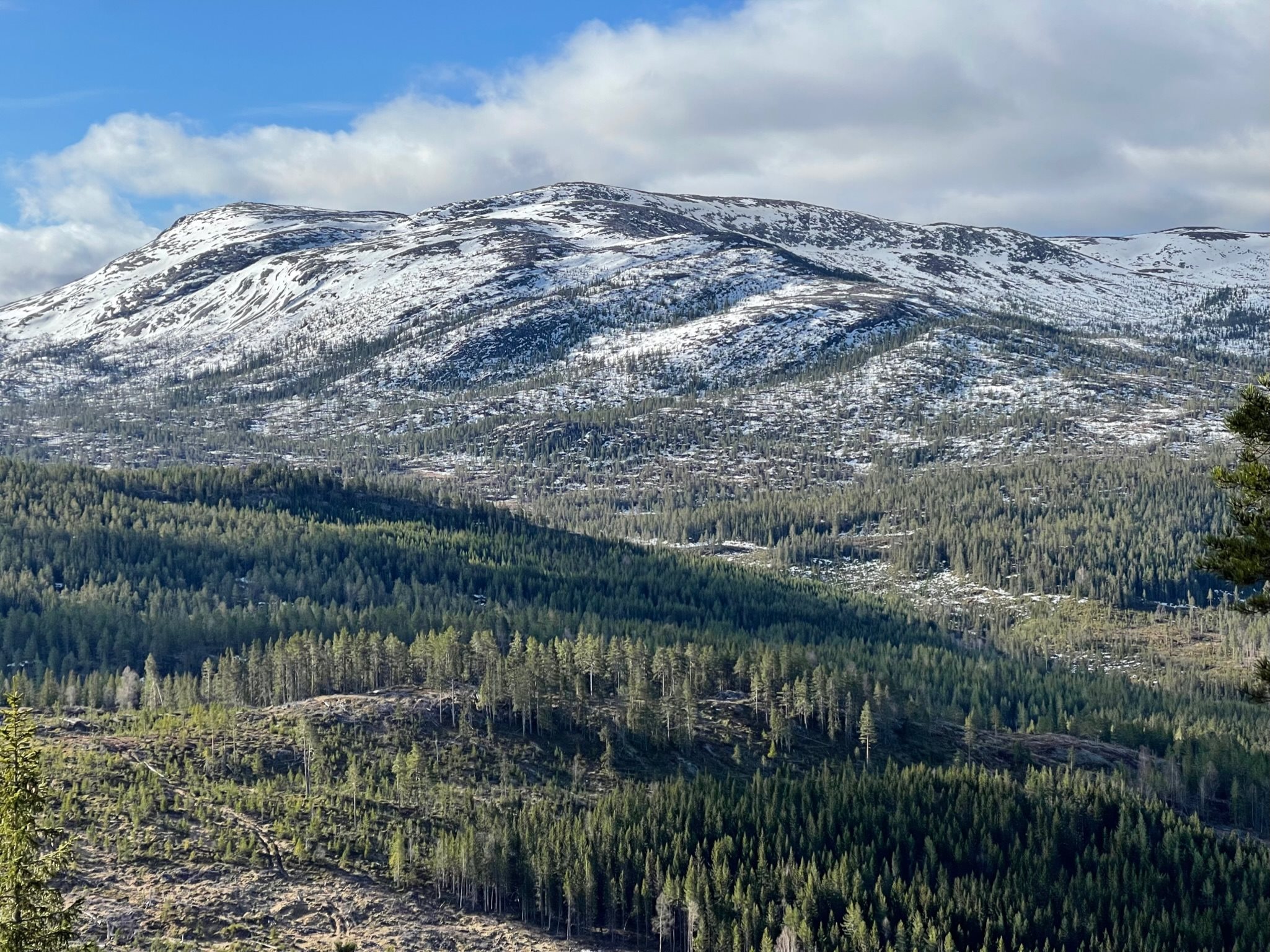Fremhævet  billede i fuldskærmstilstand. Billede af Foldsævegen 62, Hauggrend, 3870 Fyresdal