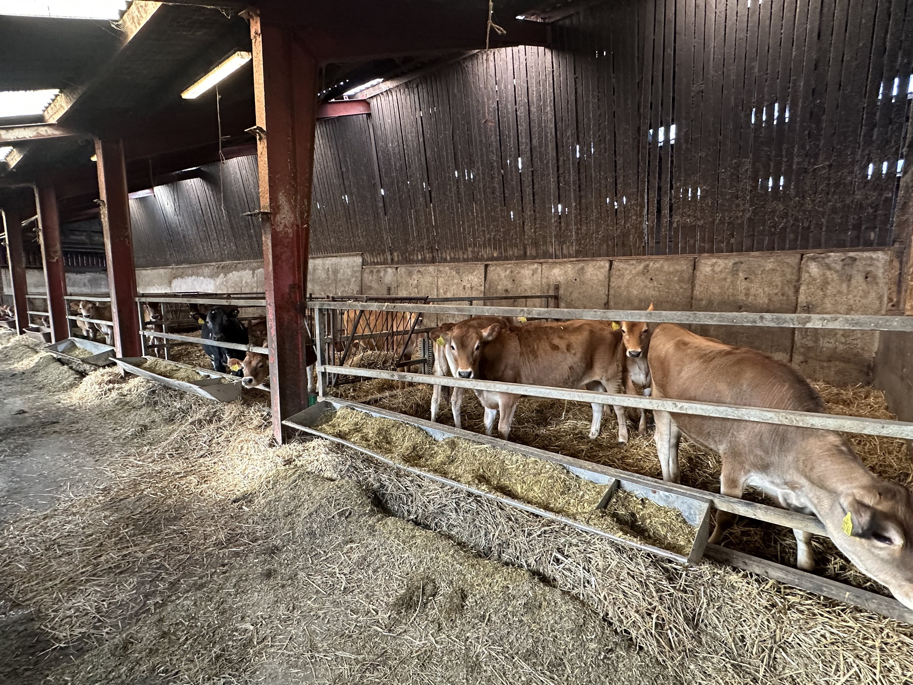 Fremhævet  billede i fuldskærmstilstand. Billede af Stagstedhedevej 4, Brønden, 9352 Dybvad