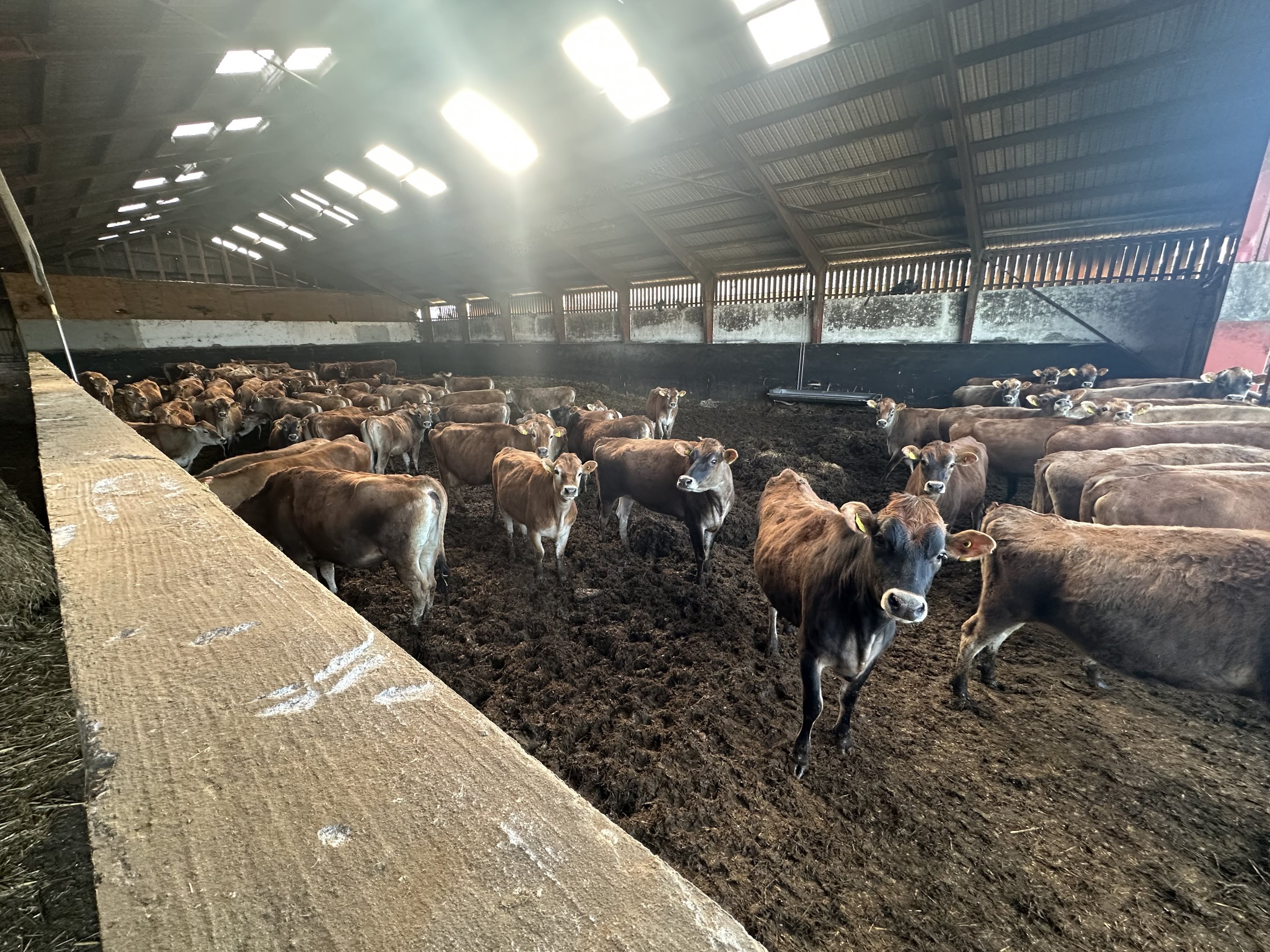 Fremhævet  billede i fuldskærmstilstand. Billede af Stagstedhedevej 4, Brønden, 9352 Dybvad