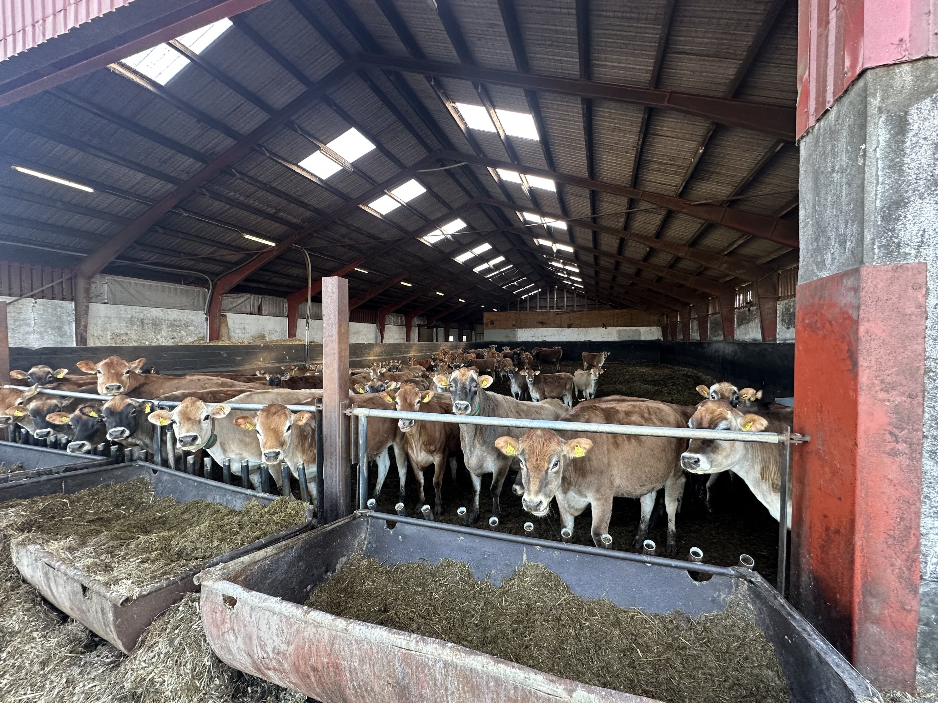 Fremhævet  billede i fuldskærmstilstand. Billede af Stagstedhedevej 4, Brønden, 9352 Dybvad