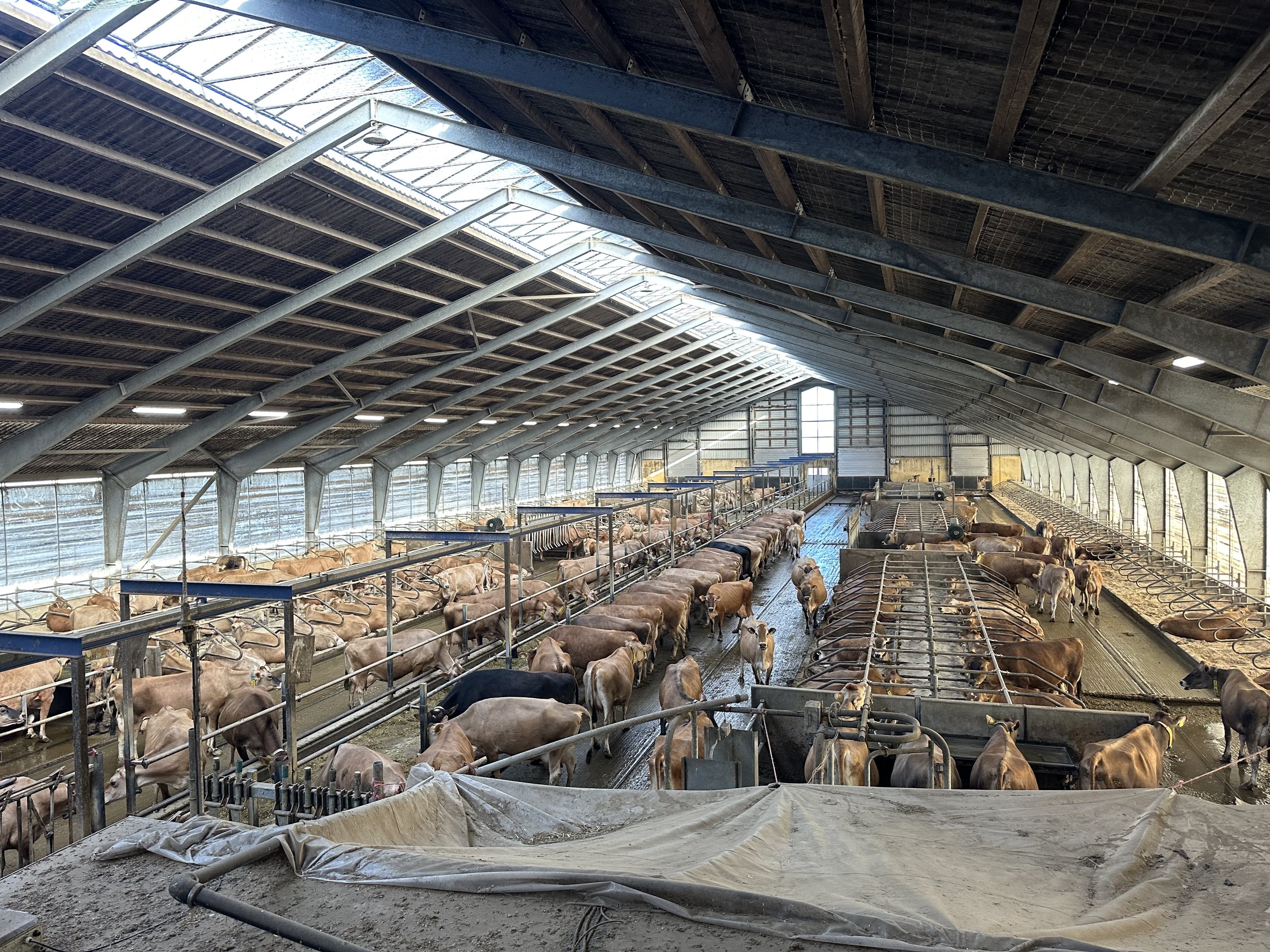 Fremhævet  billede i fuldskærmstilstand. Billede af Stagstedhedevej 4, Brønden, 9352 Dybvad