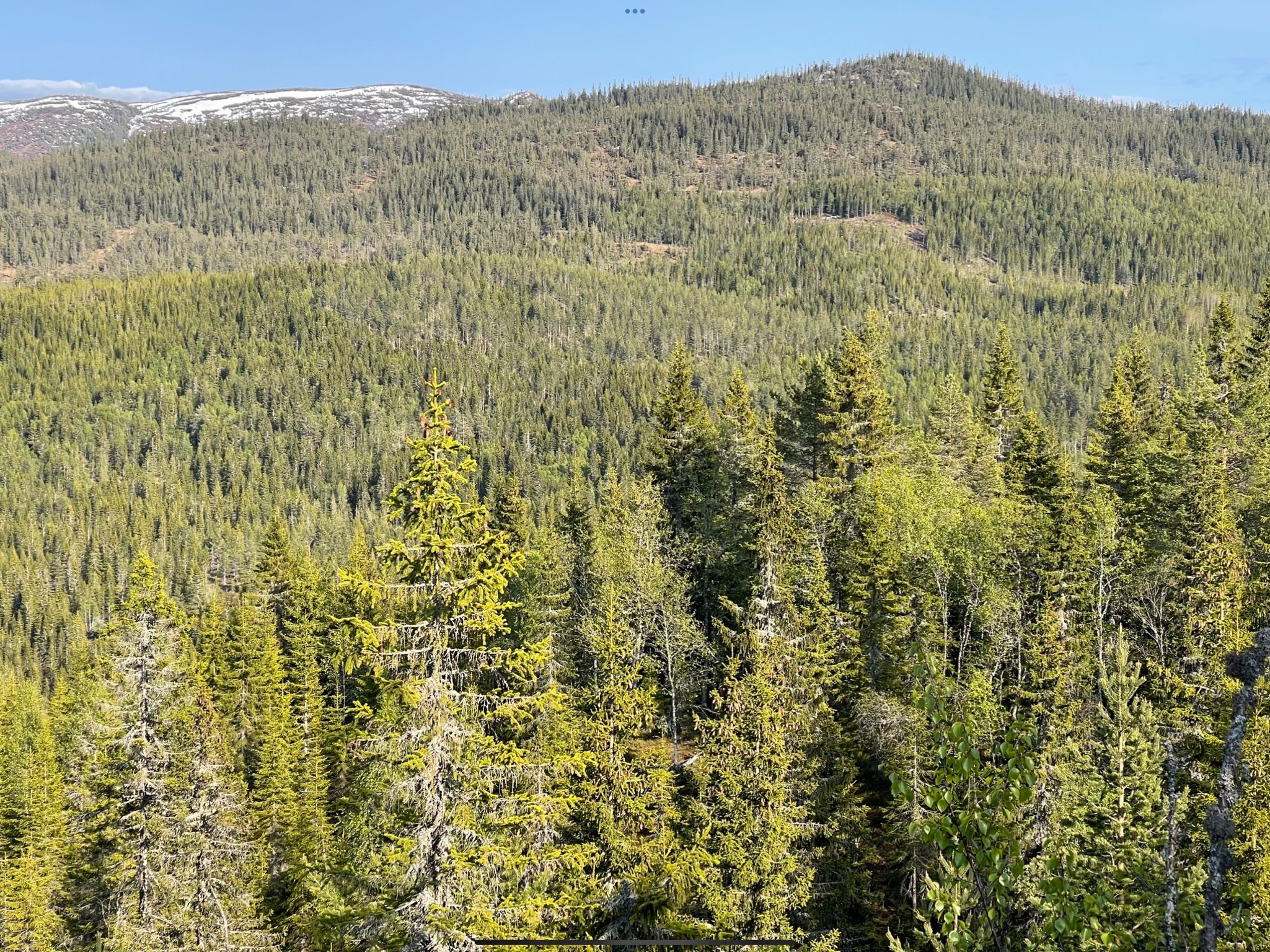 Miniaturebillede 2: . Billede af Foldsævegen 62, Hauggrend, 3870 Fyresdal