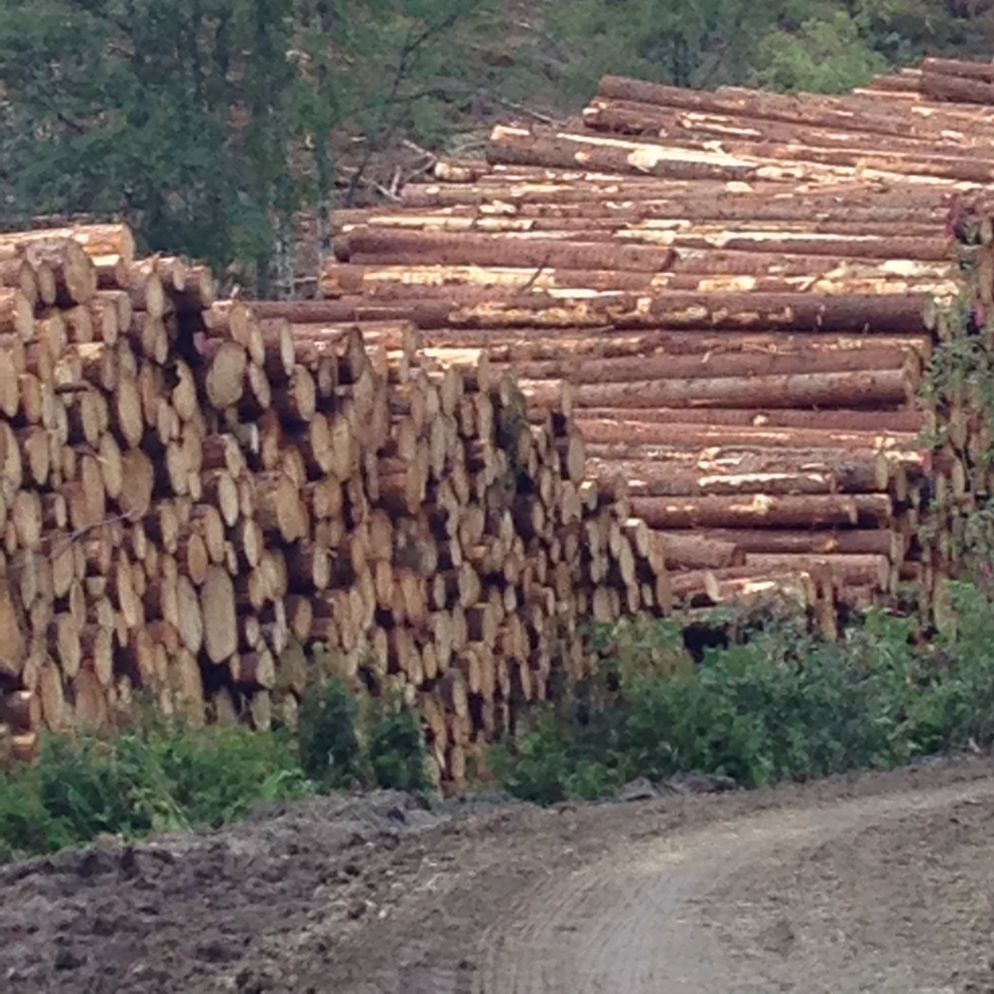 Fremhævet  billede i fuldskærmstilstand. Billede af Foldsævegen 62, Hauggrend, 3870 Fyresdal