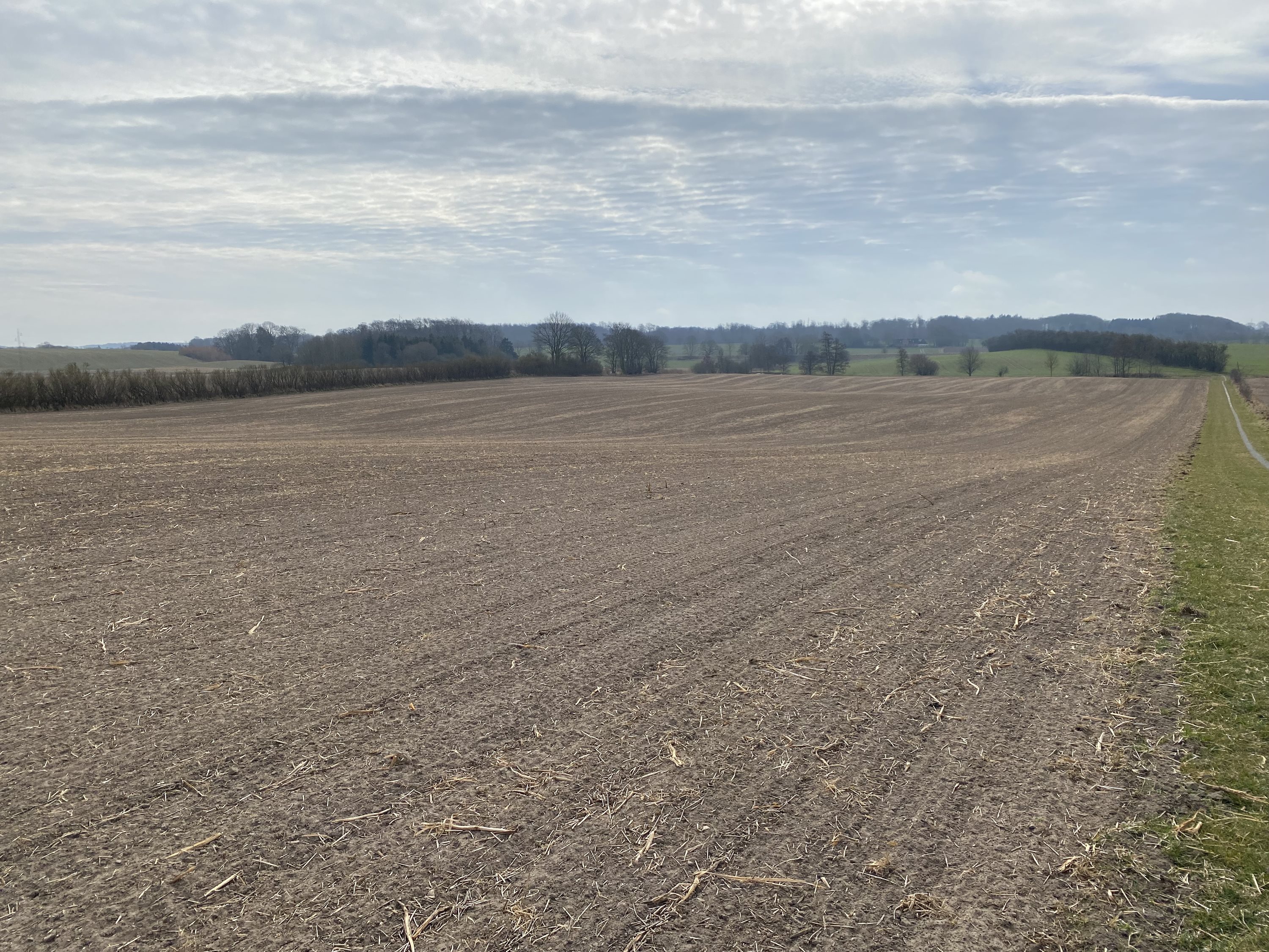 Miniaturebillede 2: . Billede af Assensvej 0, 5750 Ringe