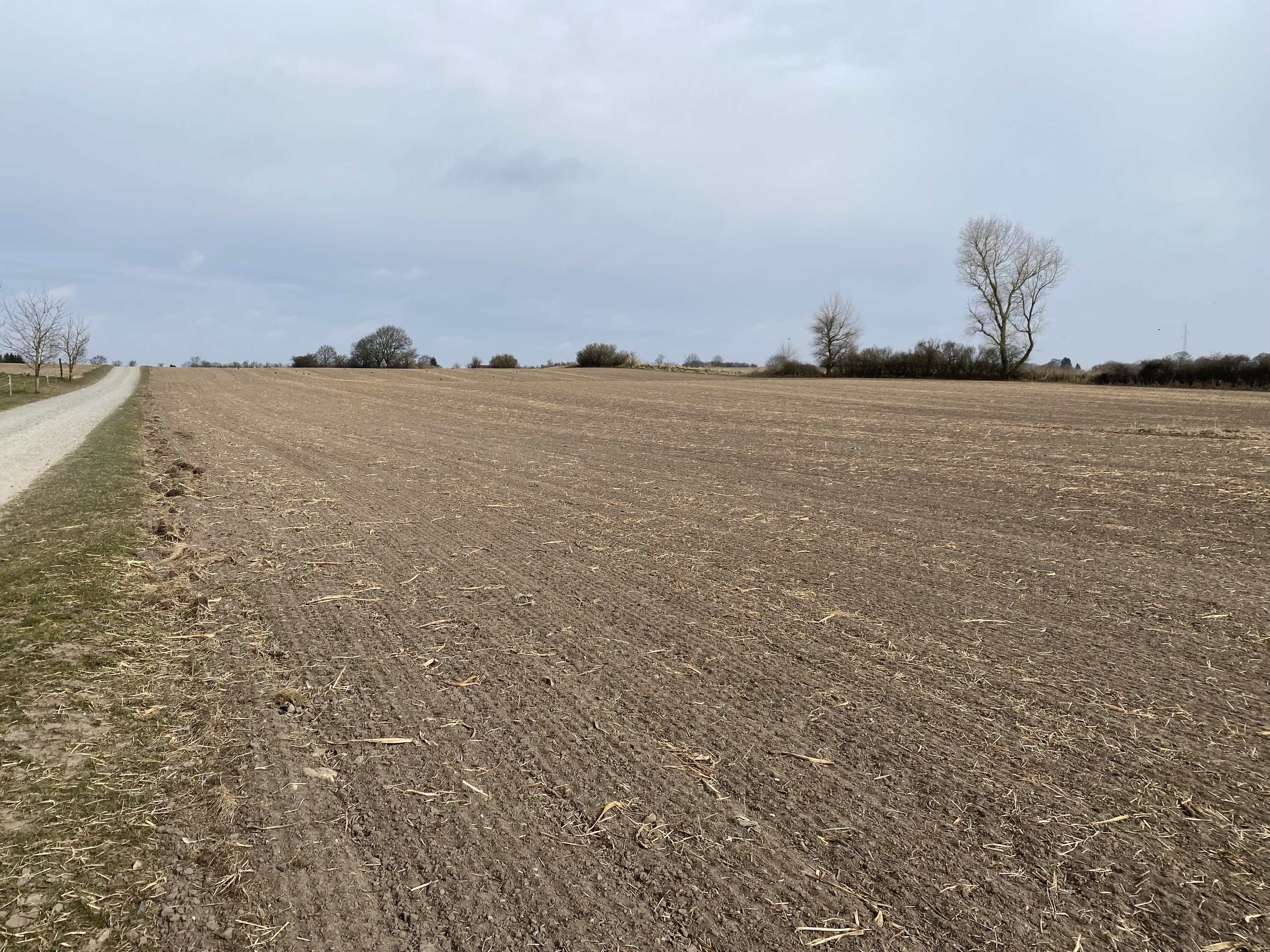 Fremhævet  billede i fuldskærmstilstand. Billede af Assensvej 0, 5750 Ringe