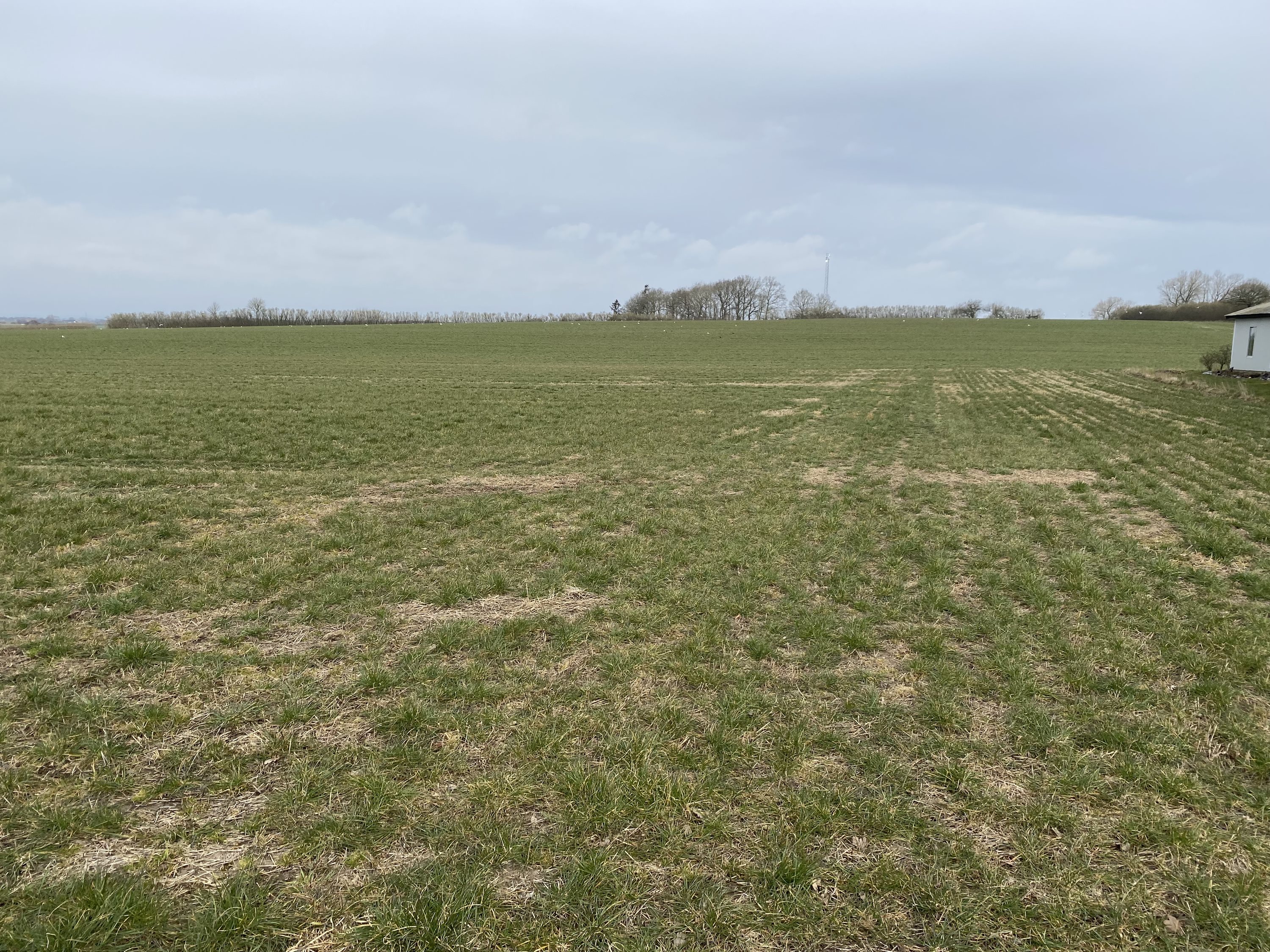 Fremhævet  billede i fuldskærmstilstand. Billede af Assensvej 0, 5750 Ringe