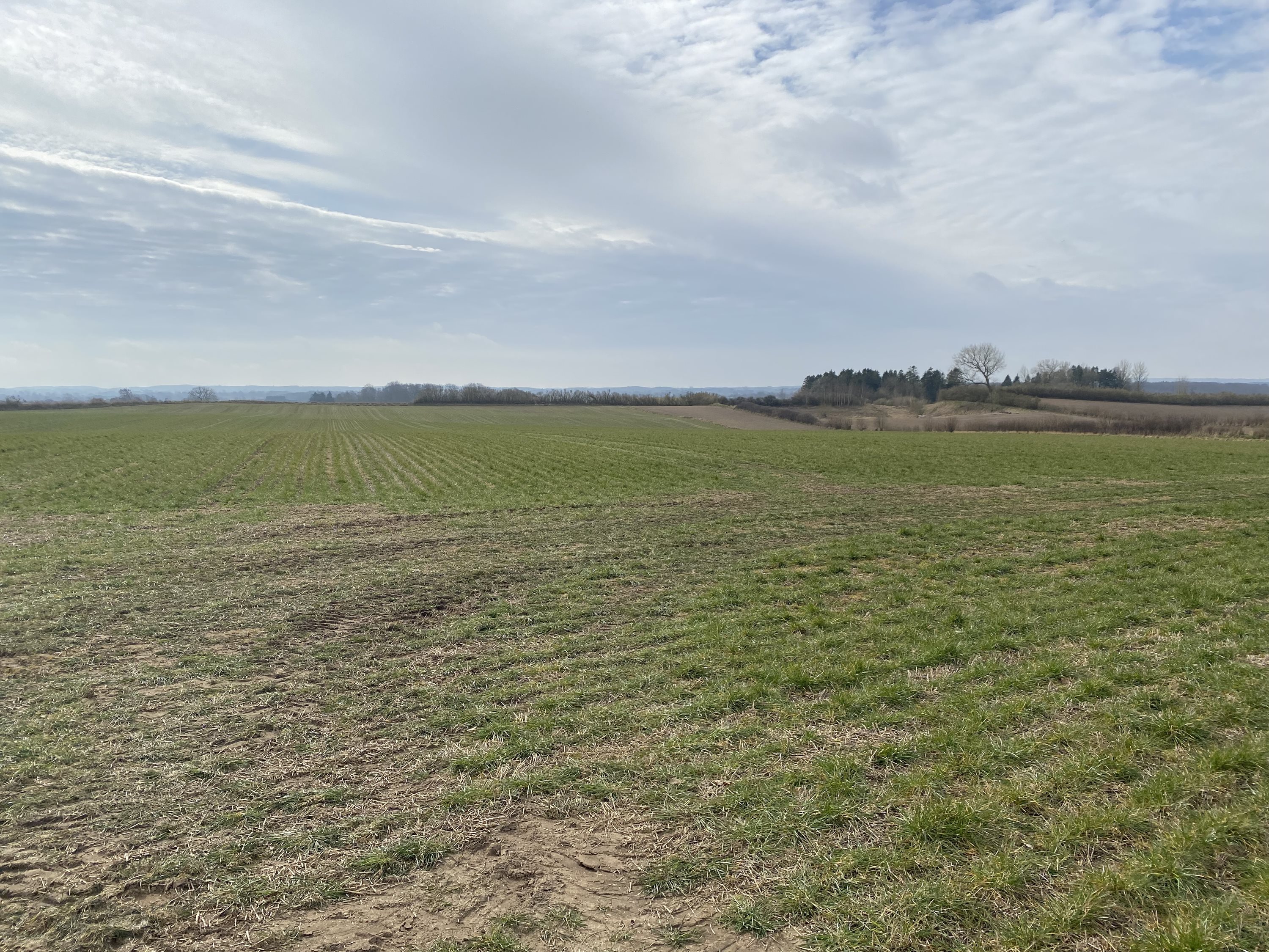 Fremhævet  billede i fuldskærmstilstand. Billede af Assensvej 0, 5750 Ringe