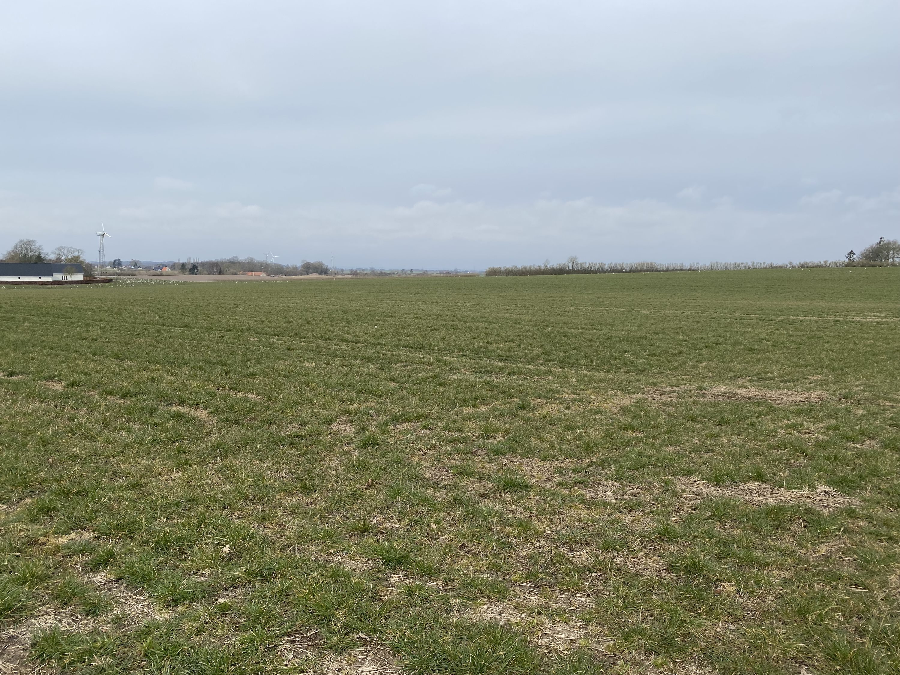 Fremhævet  billede i fuldskærmstilstand. Billede af Assensvej 0, 5750 Ringe