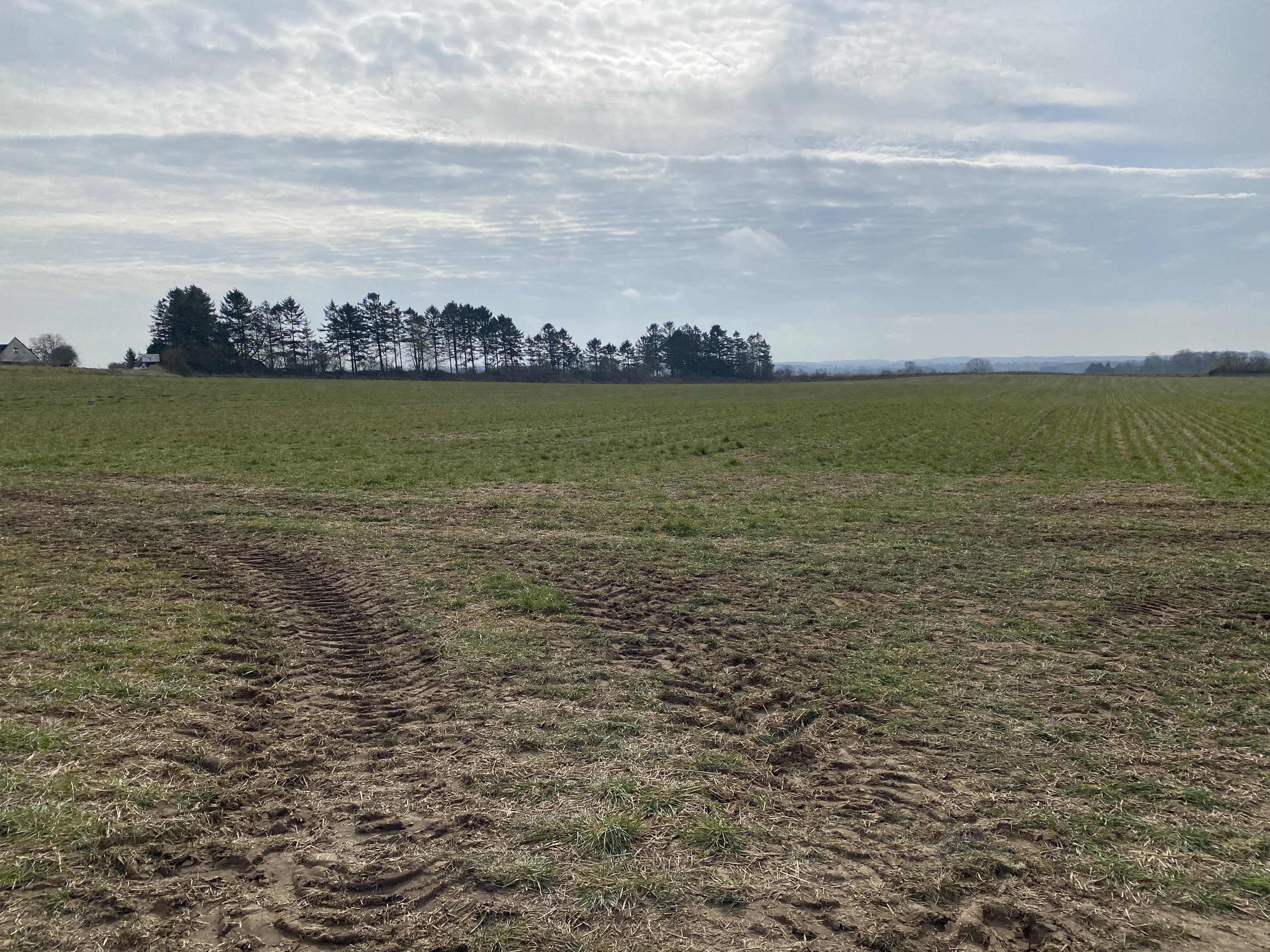 Fremhævet  billede i fuldskærmstilstand. Billede af Assensvej 0, 5750 Ringe