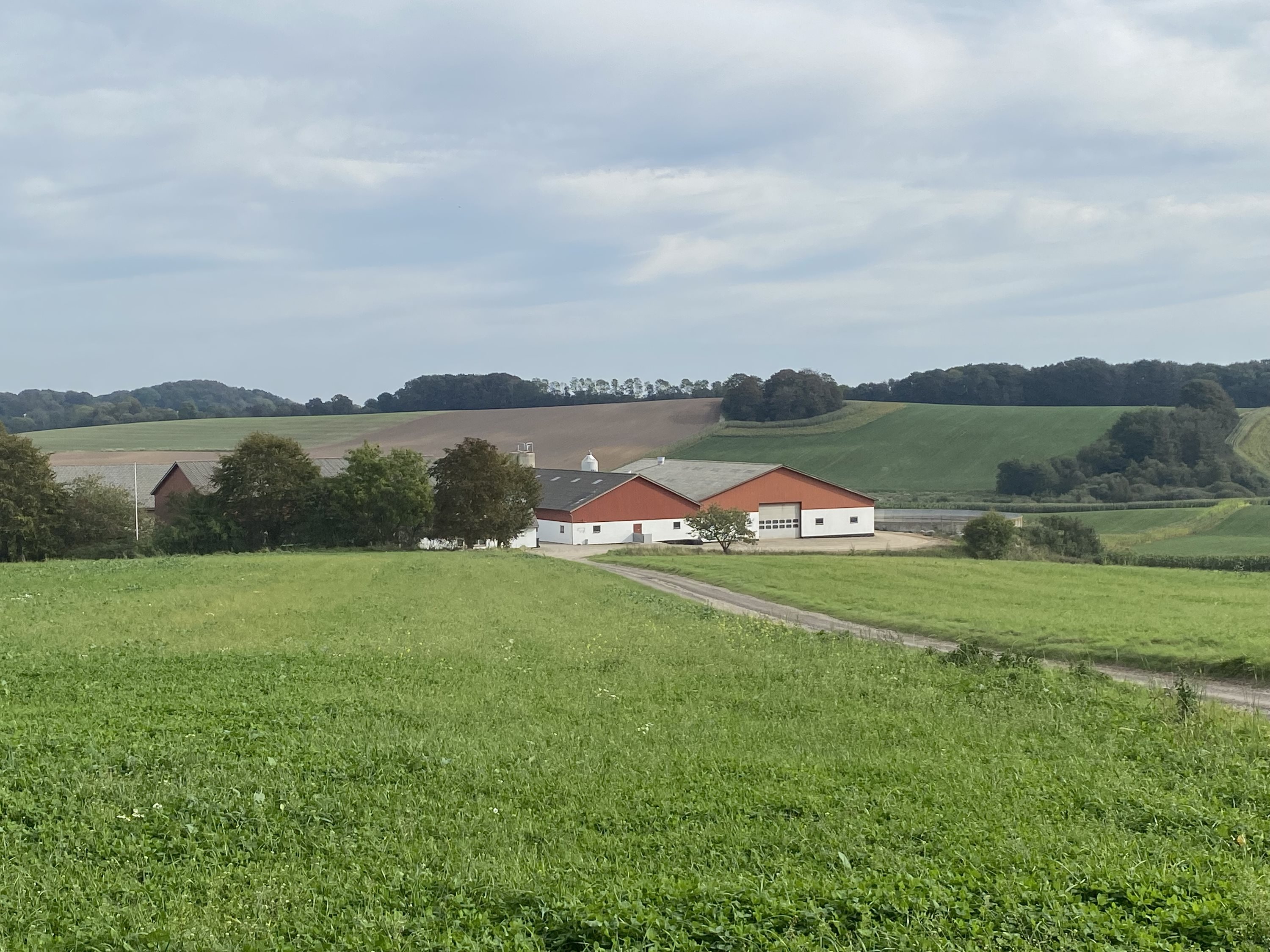 Fremhævet hellen 8 billede i fuldskærmstilstand. Billede af Dorthealundsvej 3, Dorthealund, 5683 Haarby