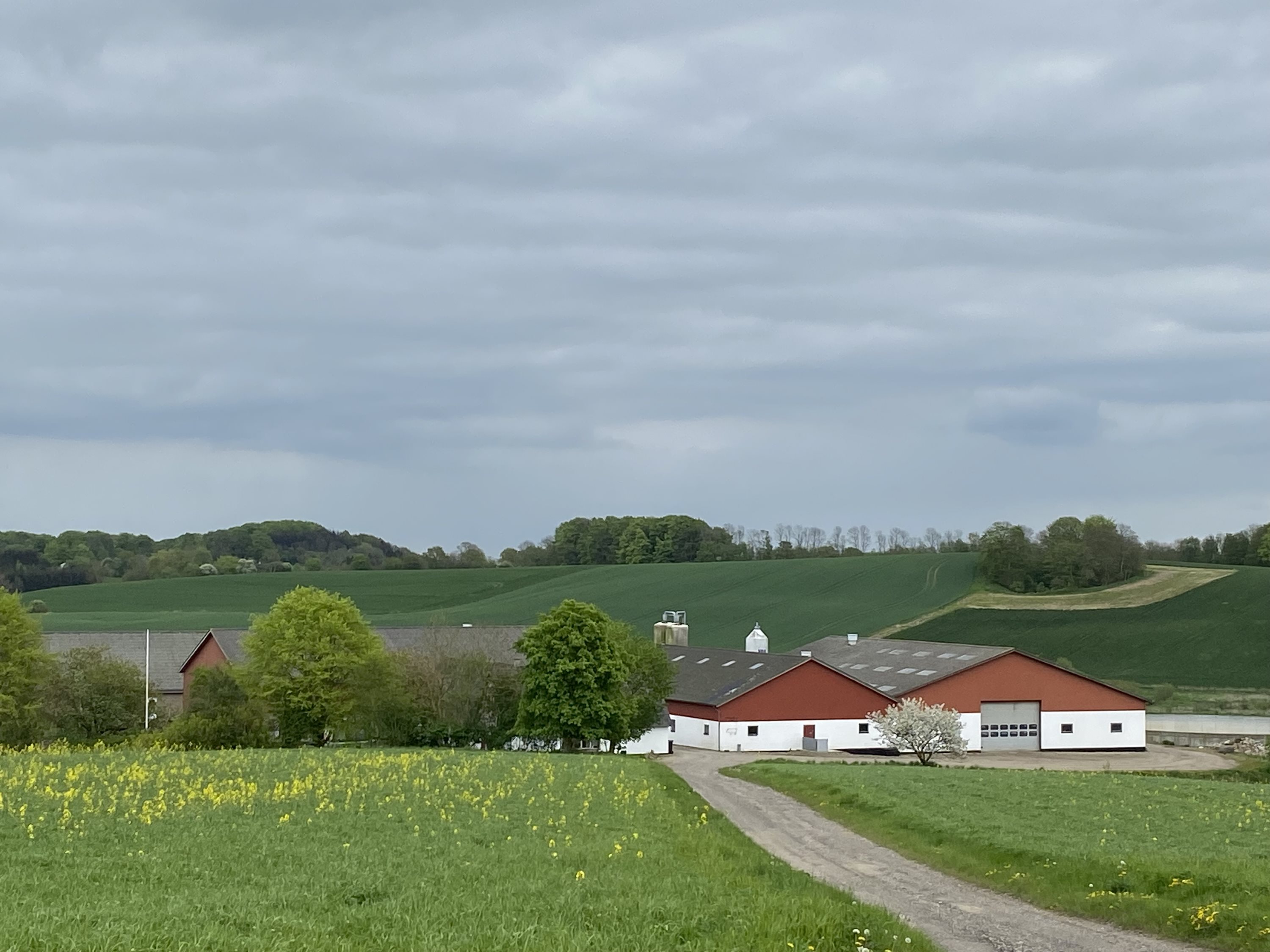 Fremhævet hellen 8 billede i fuldskærmstilstand. Billede af Dorthealundsvej 3, Dorthealund, 5683 Haarby