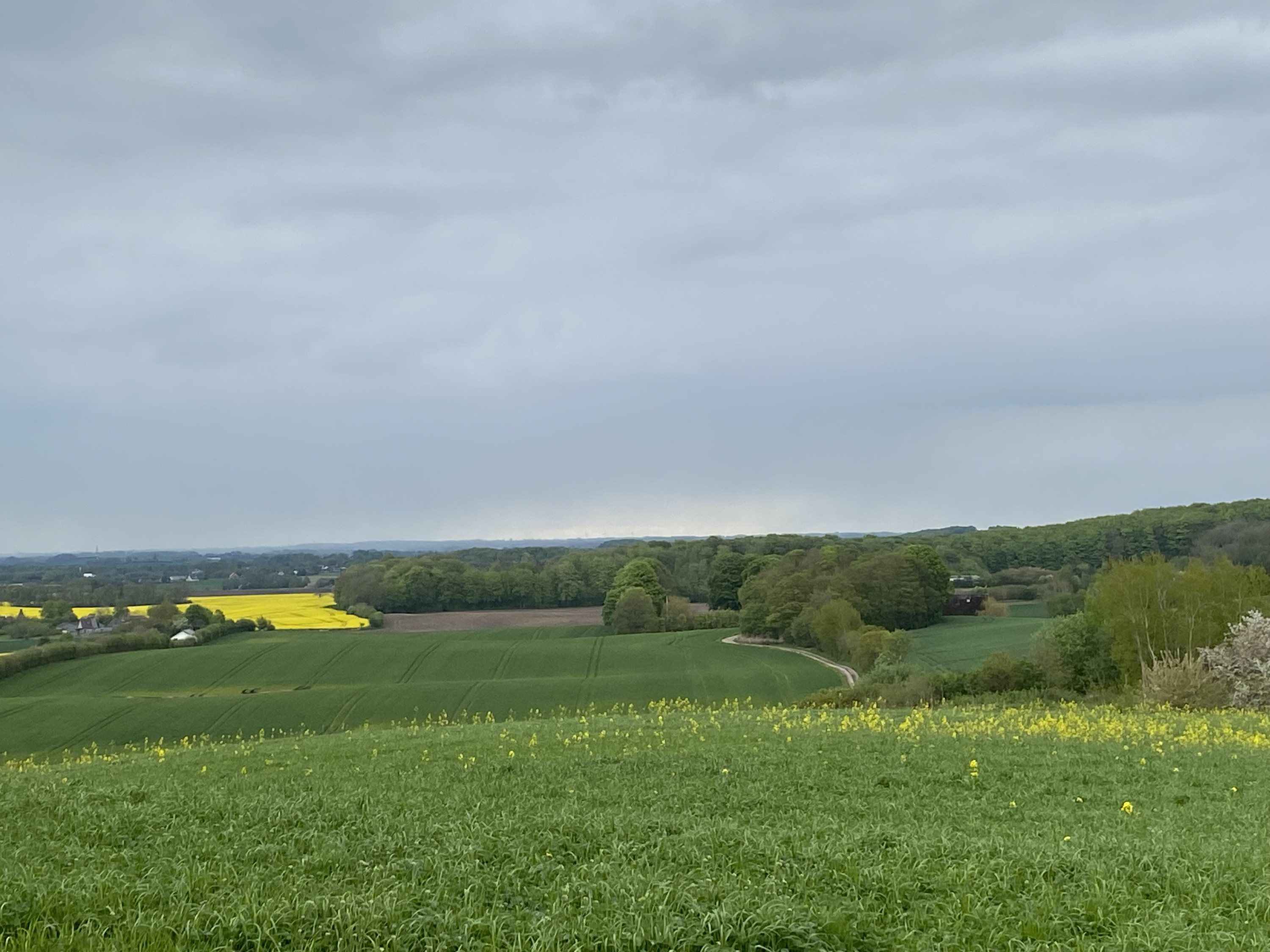 Fremhævet hellen 8 billede i fuldskærmstilstand. Billede af Dorthealundsvej 3, Dorthealund, 5683 Haarby