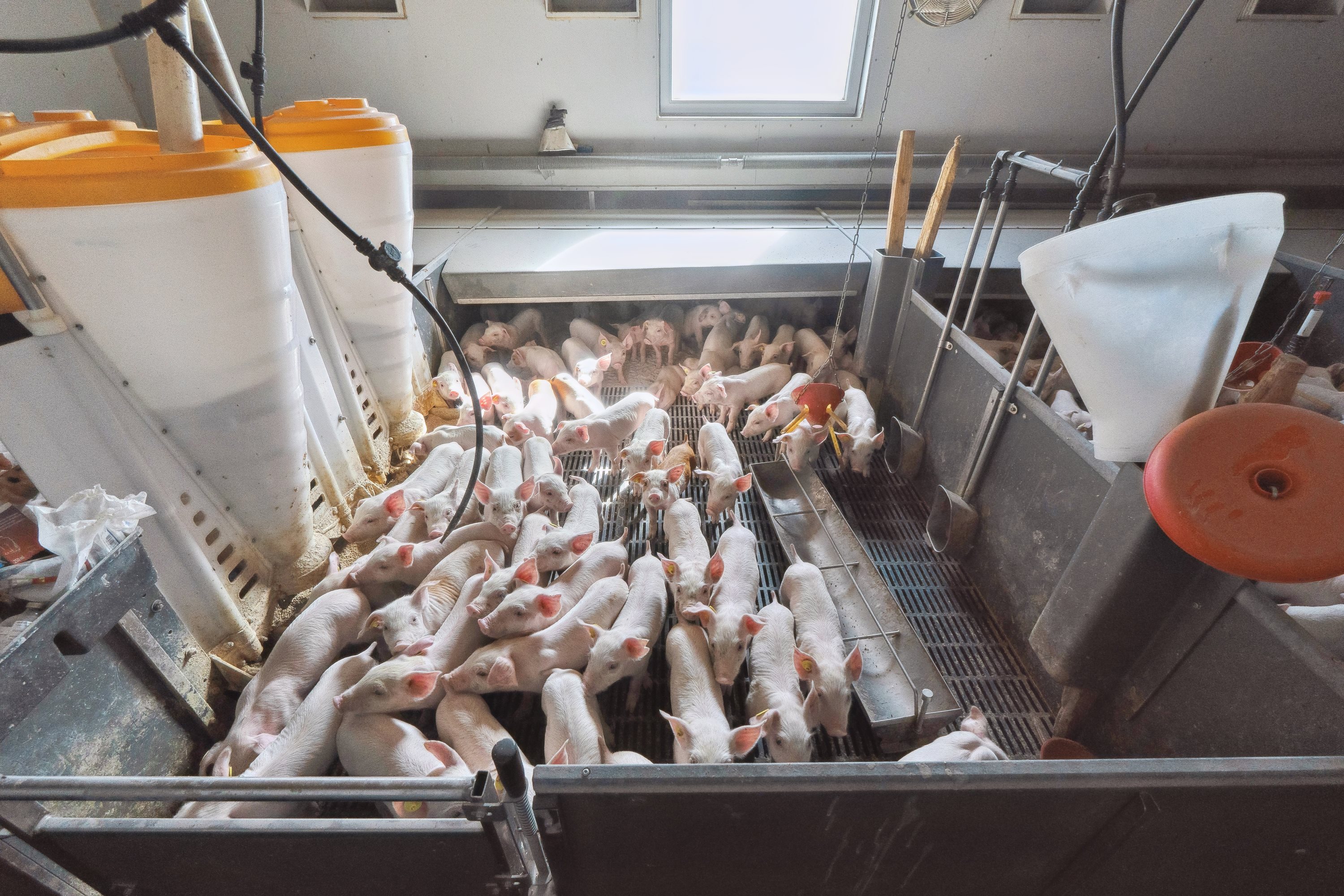 Fremhævet  billede i fuldskærmstilstand. Billede af Skovendevej 5, 9750 Østervrå