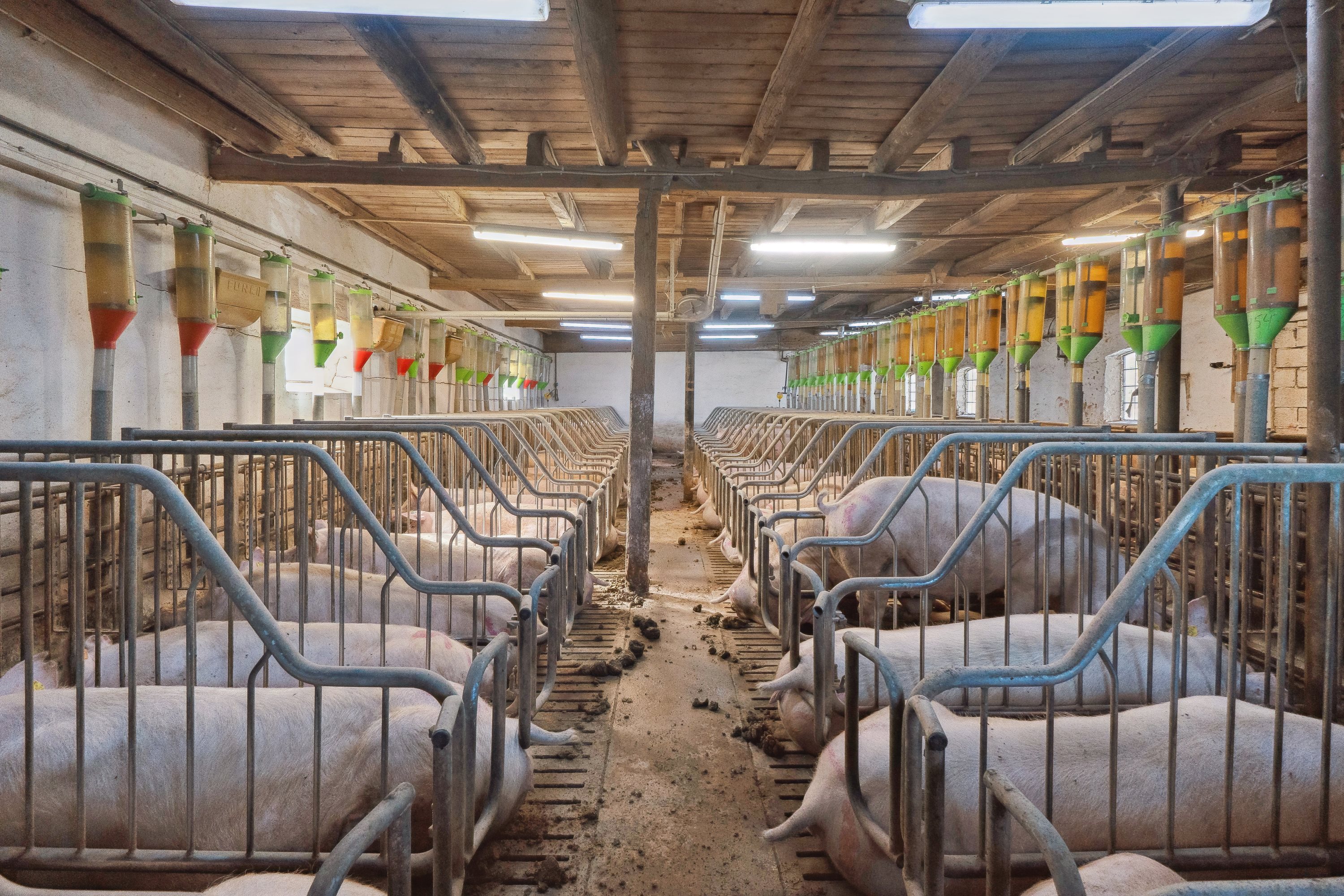 Fremhævet  billede i fuldskærmstilstand. Billede af Skovendevej 5, 9750 Østervrå