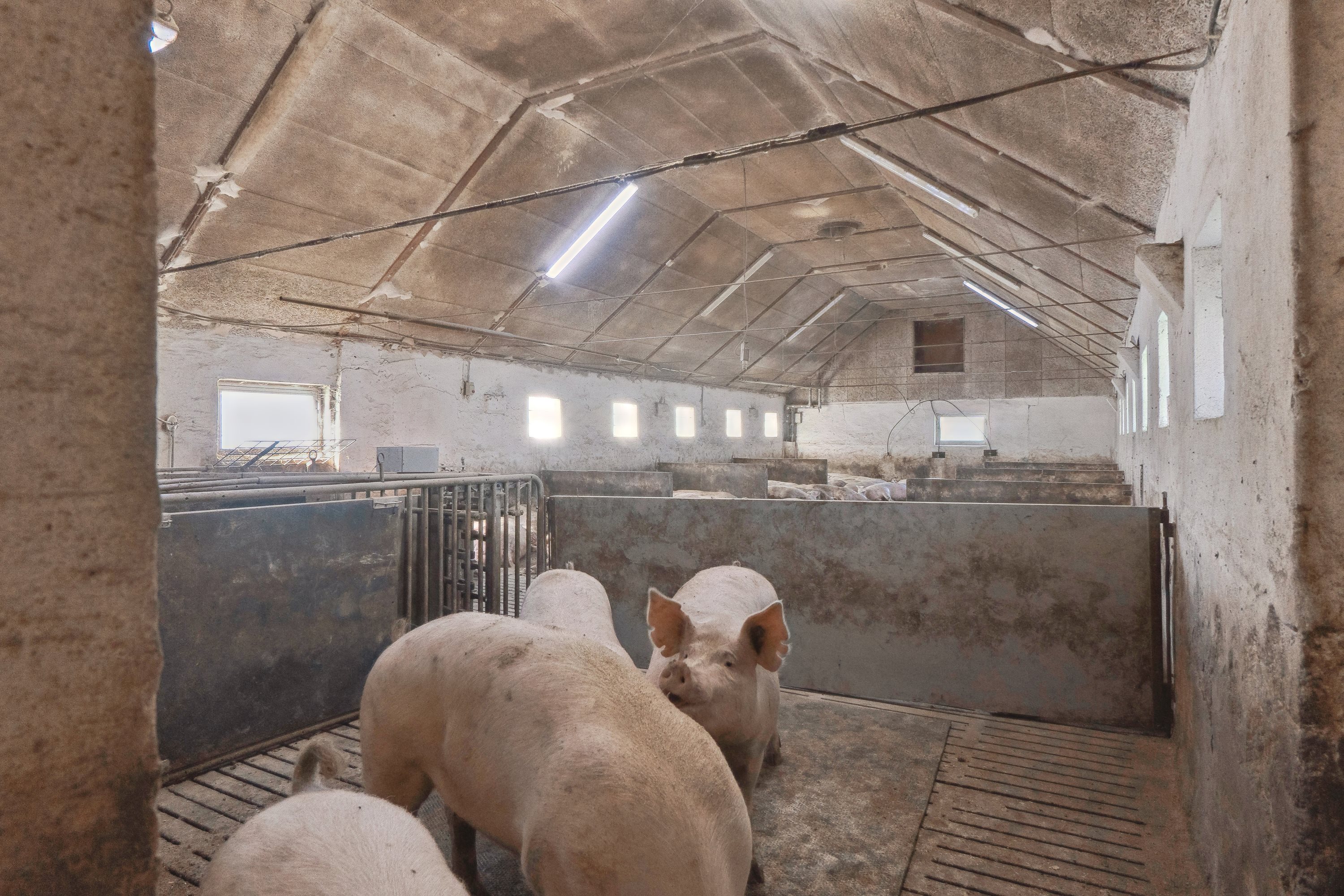 Fremhævet  billede i fuldskærmstilstand. Billede af Skovendevej 5, 9750 Østervrå