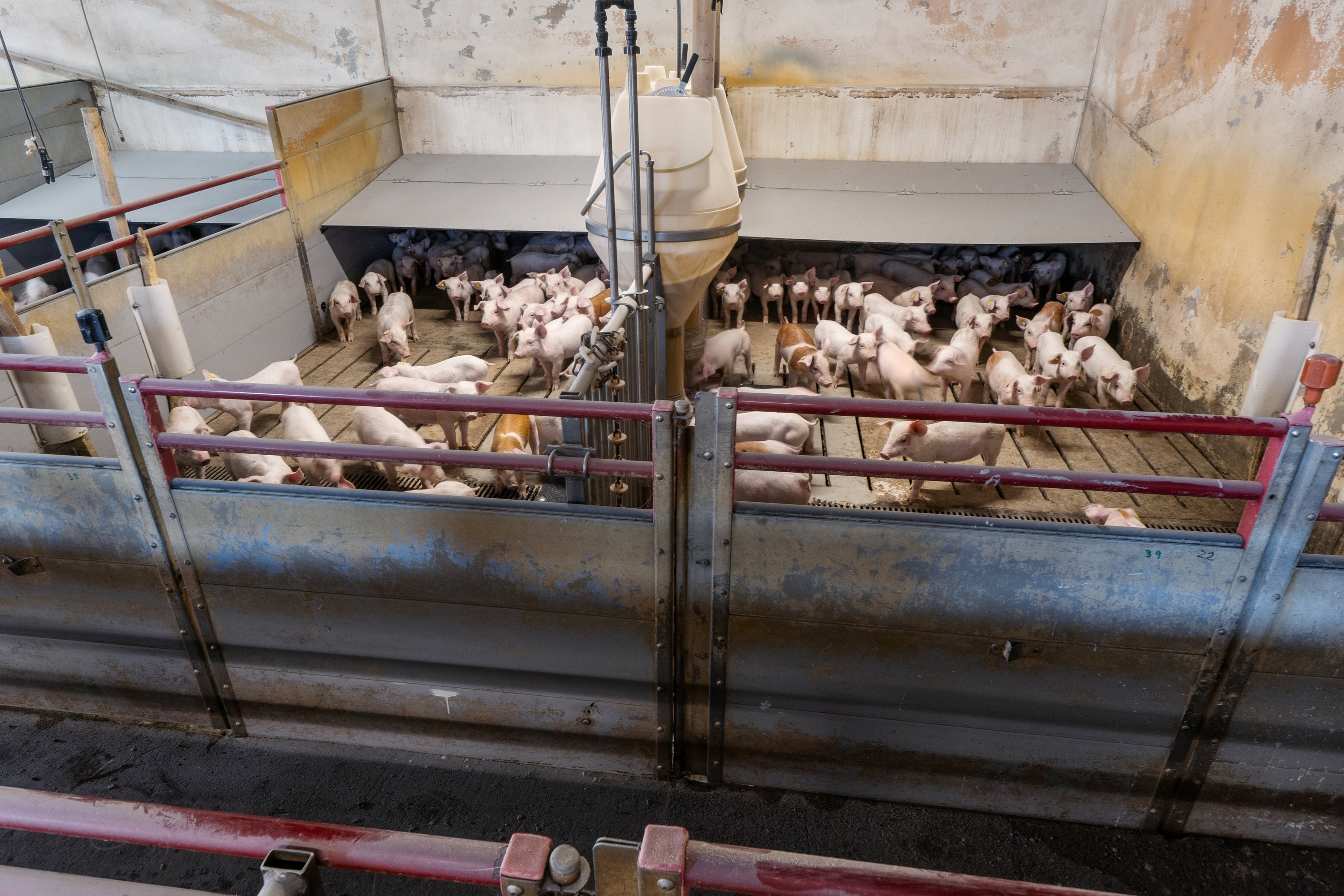 Fremhævet  billede i fuldskærmstilstand. Billede af Skovendevej 5, 9750 Østervrå