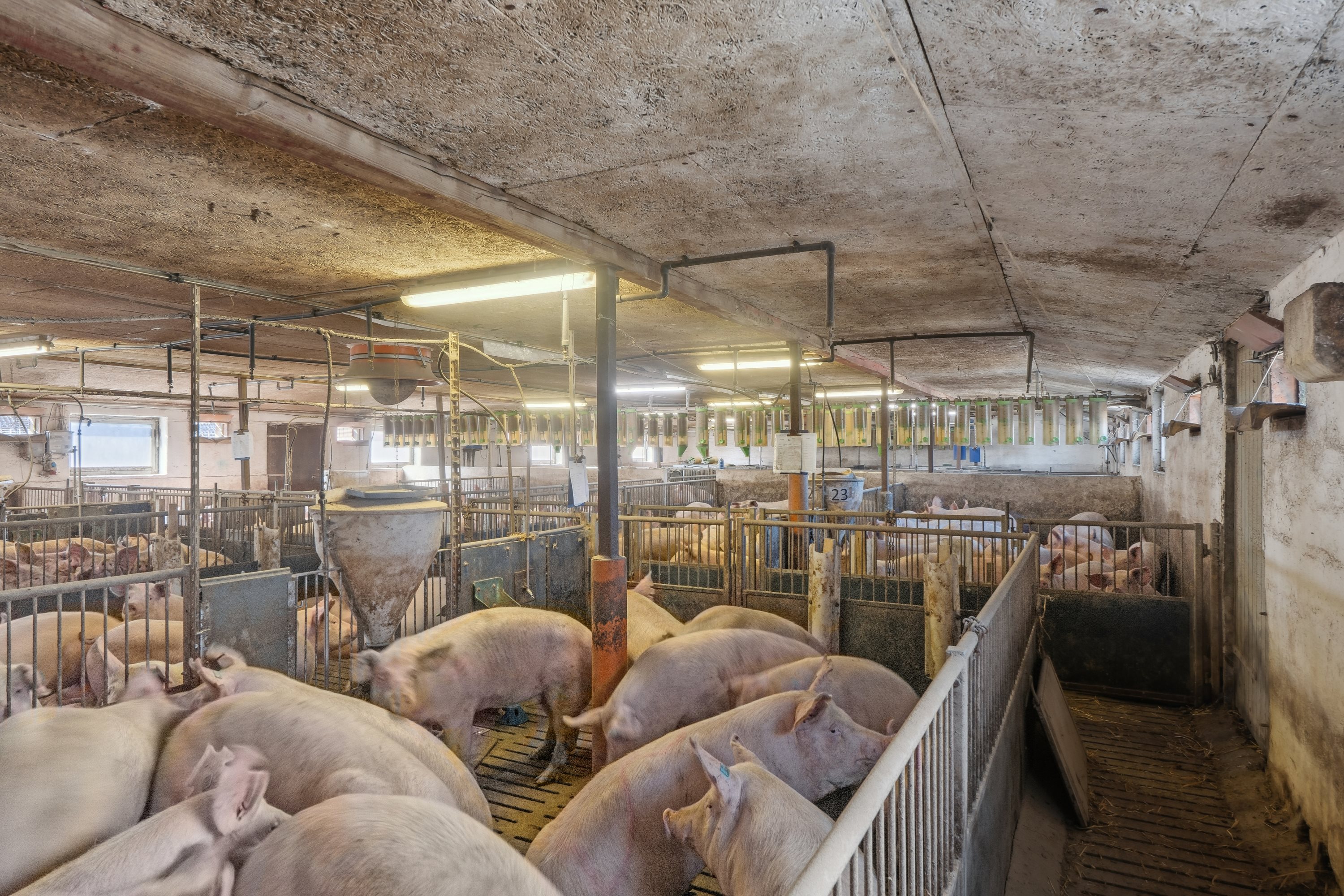 Fremhævet  billede i fuldskærmstilstand. Billede af Skovendevej 5, 9750 Østervrå