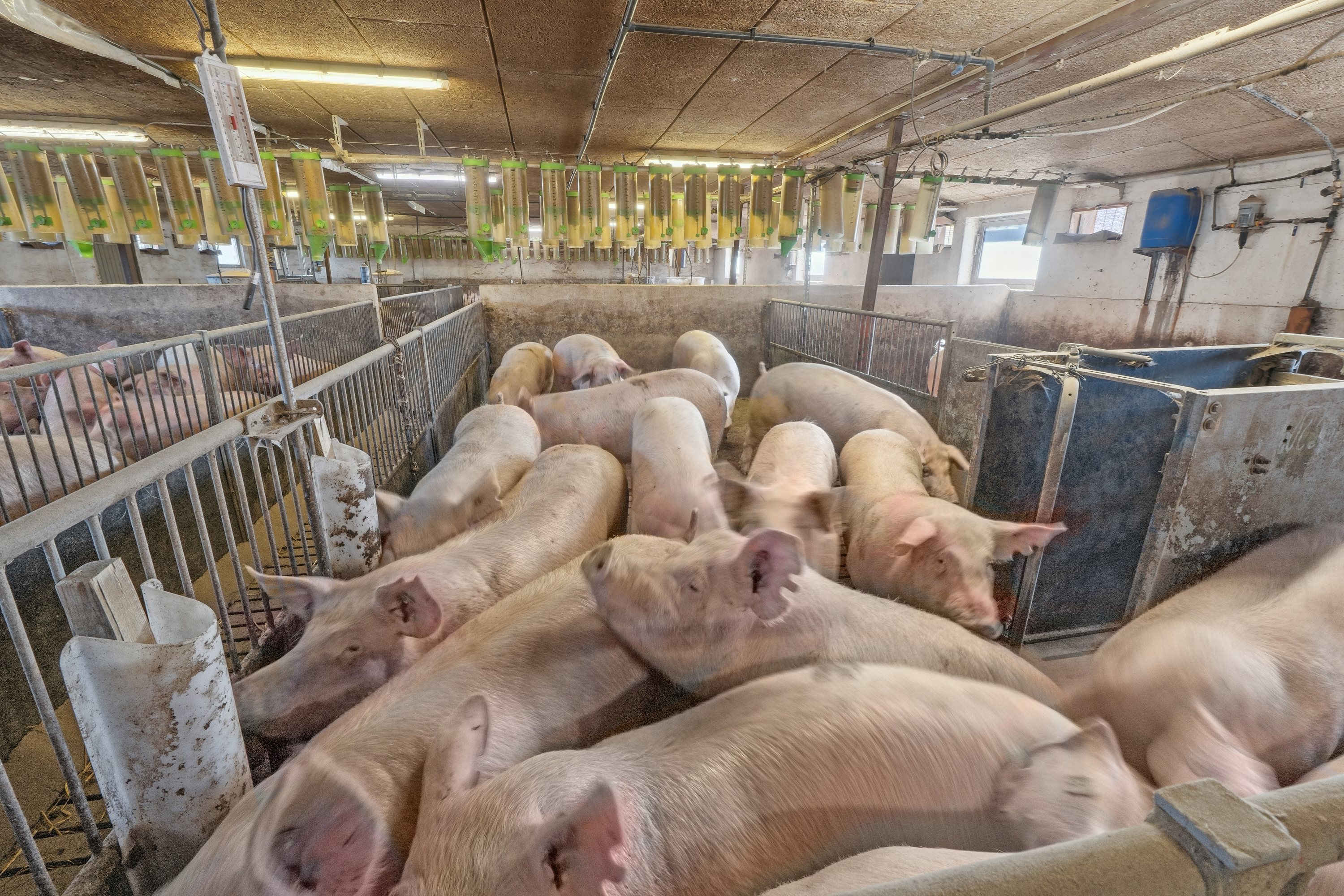 Fremhævet  billede i fuldskærmstilstand. Billede af Skovendevej 5, 9750 Østervrå