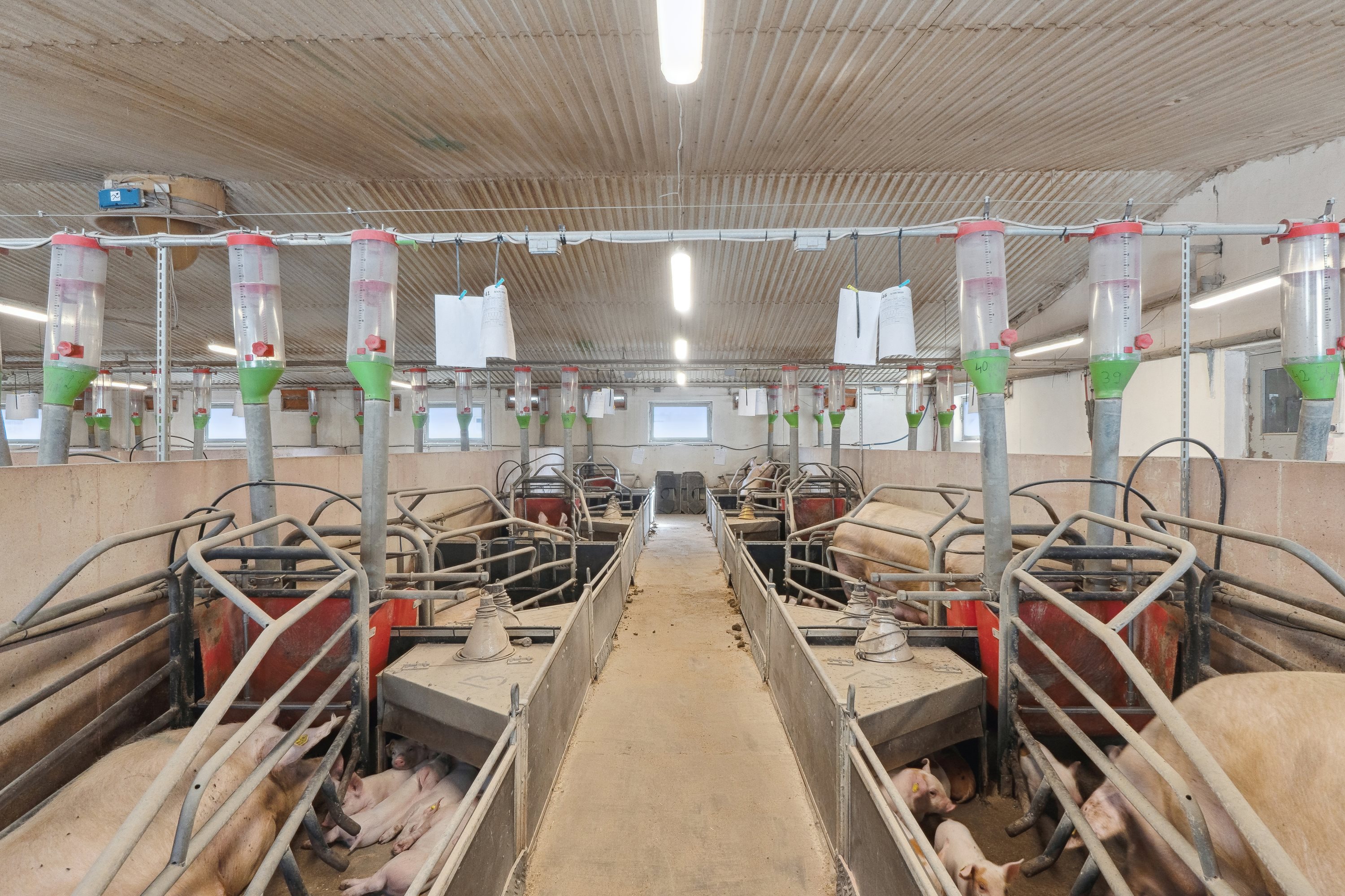 Fremhævet  billede i fuldskærmstilstand. Billede af Skovendevej 5, 9750 Østervrå