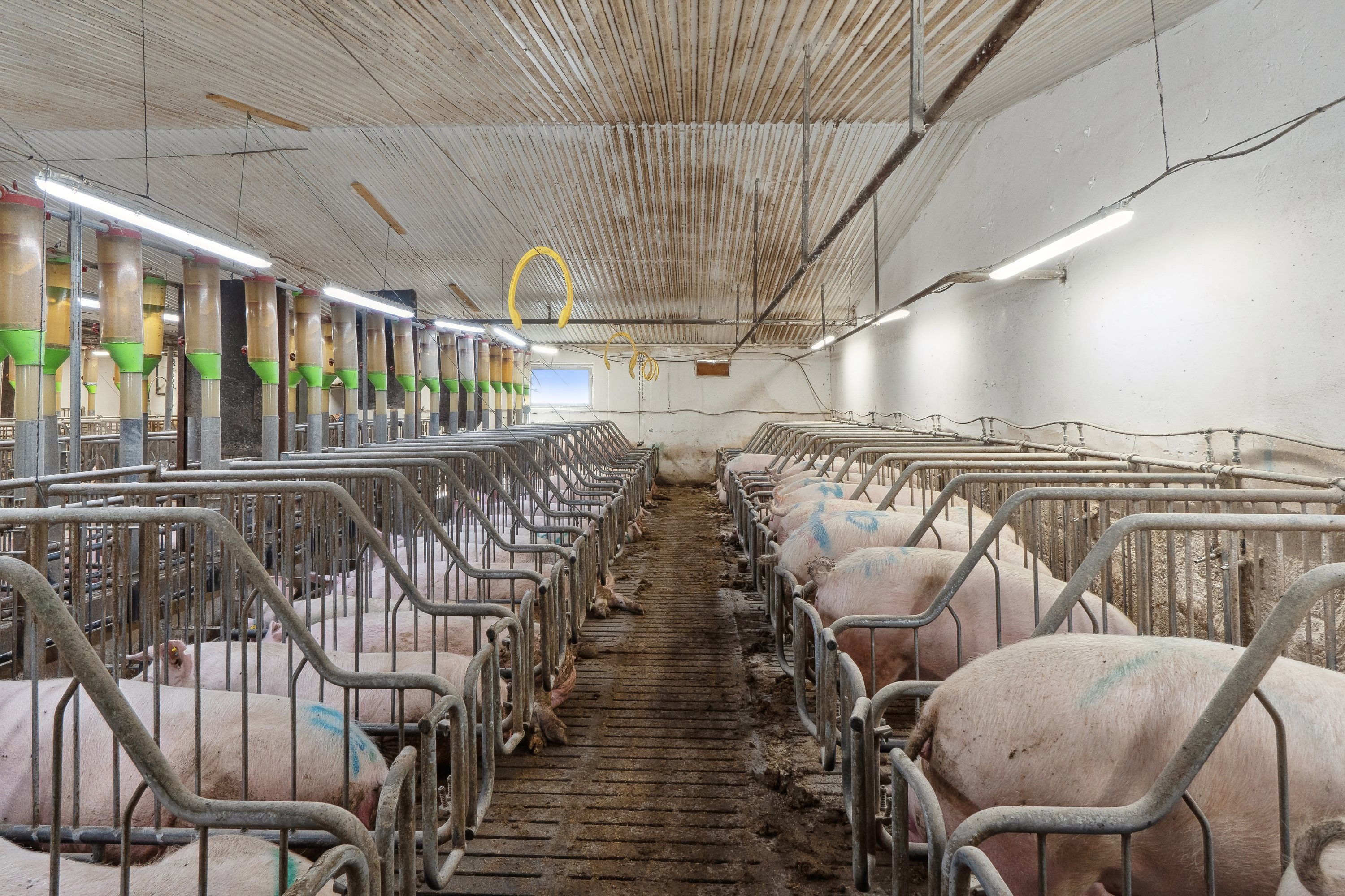 Fremhævet  billede i fuldskærmstilstand. Billede af Skovendevej 5, 9750 Østervrå