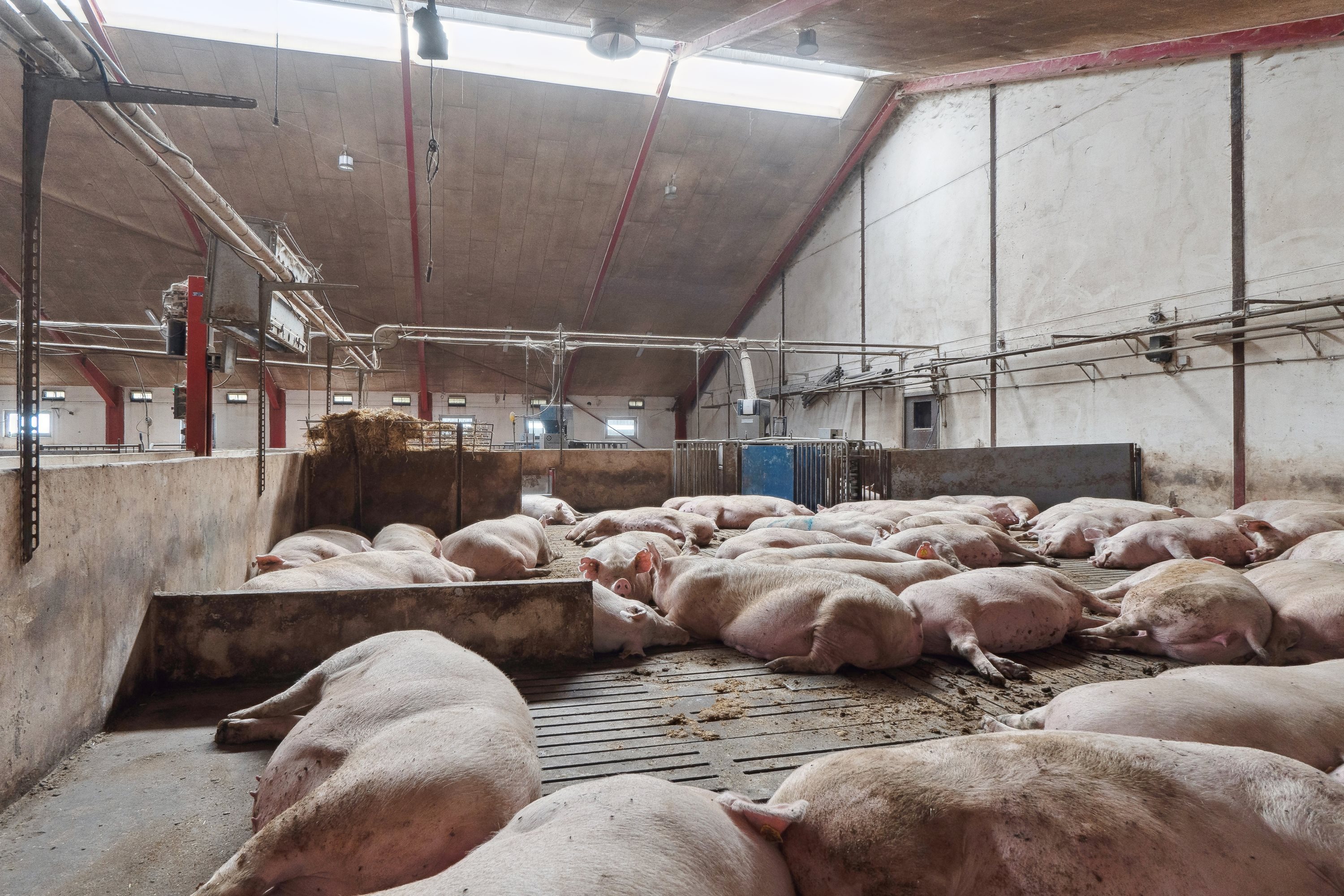 Fremhævet  billede i fuldskærmstilstand. Billede af Skovendevej 5, 9750 Østervrå