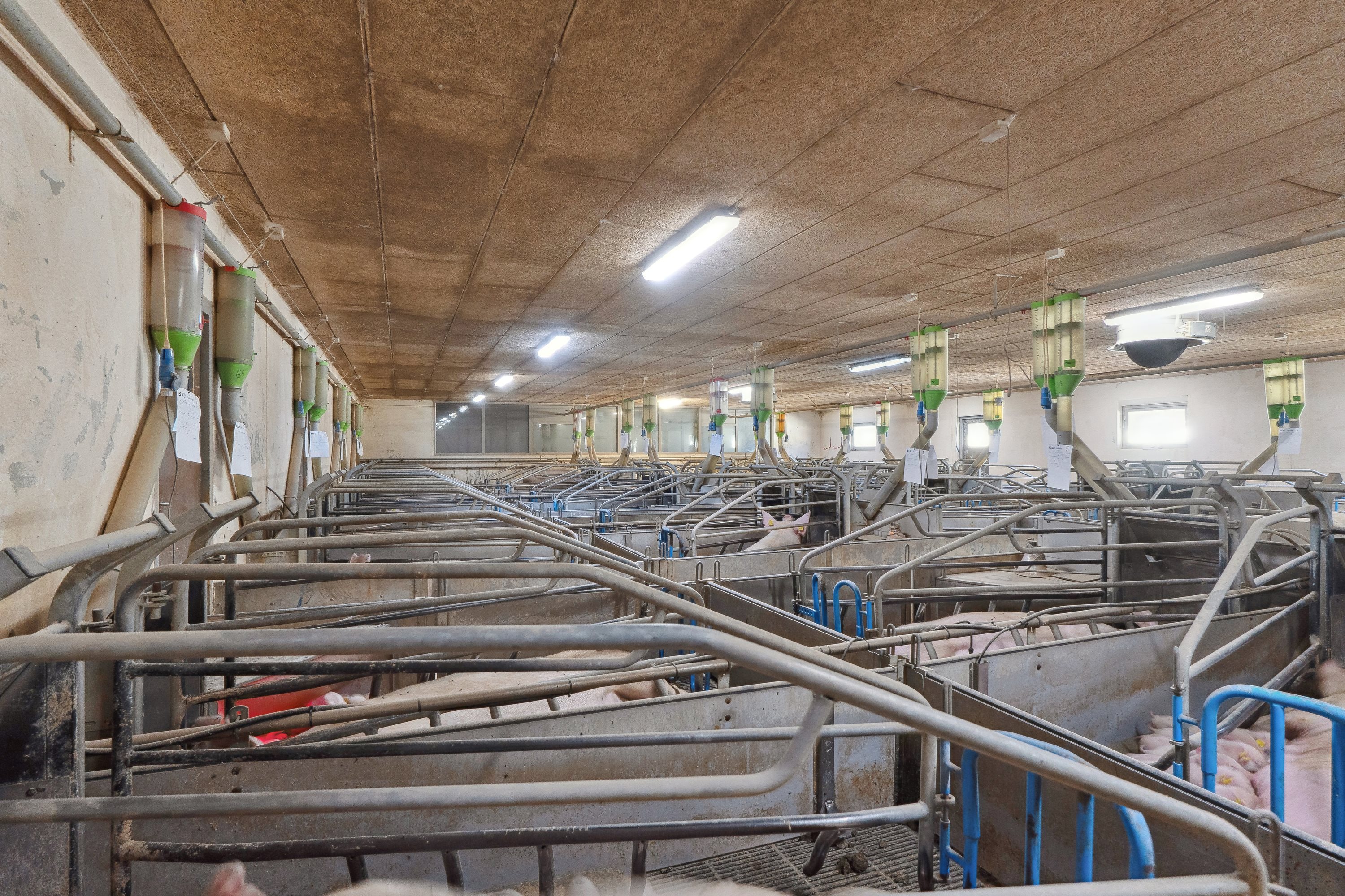 Fremhævet  billede i fuldskærmstilstand. Billede af Skovendevej 5, 9750 Østervrå