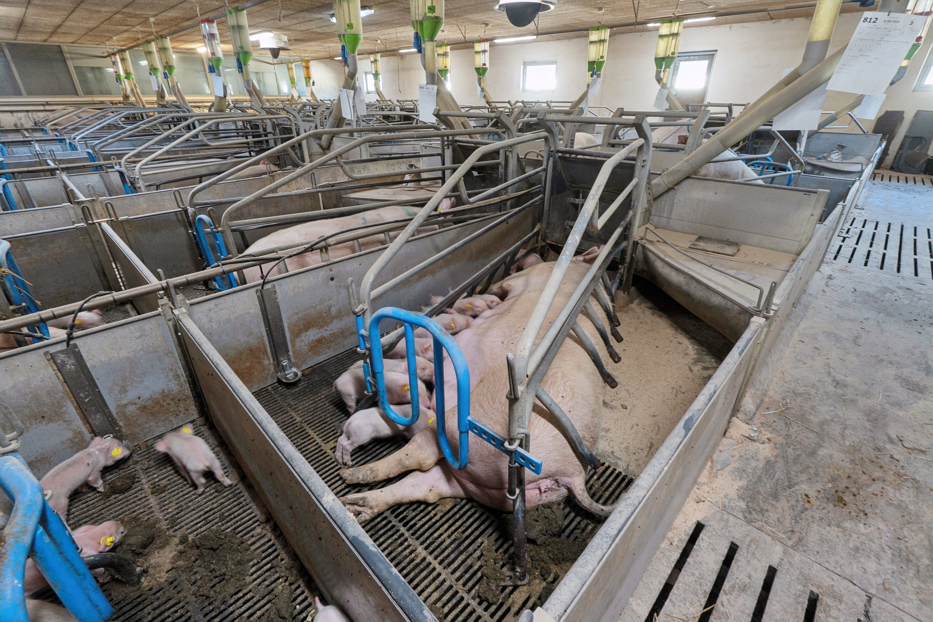 Fremhævet  billede i fuldskærmstilstand. Billede af Skovendevej 5, 9750 Østervrå